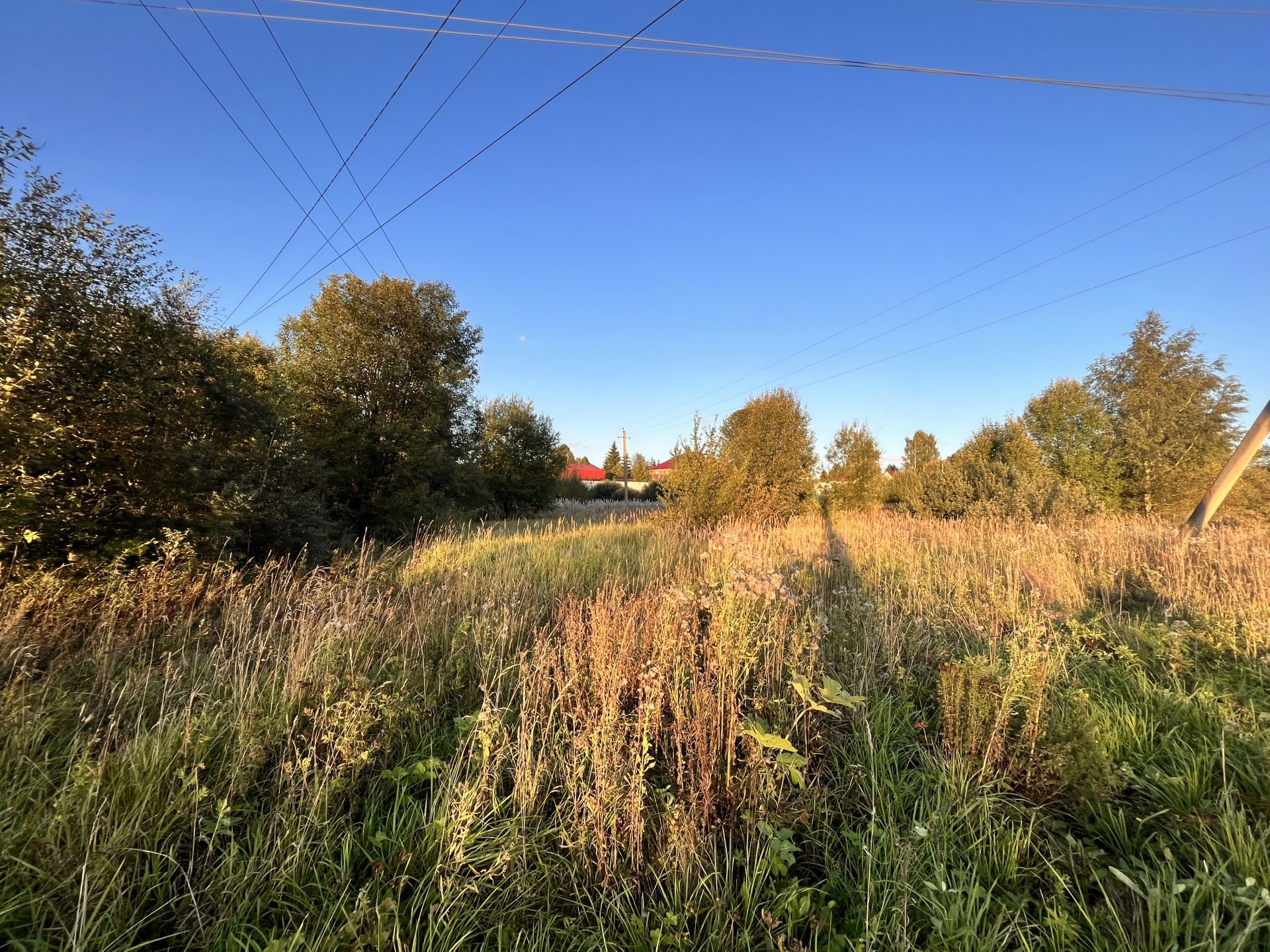 Земли поселения Московская область, Дмитровский городской округ, деревня Старо