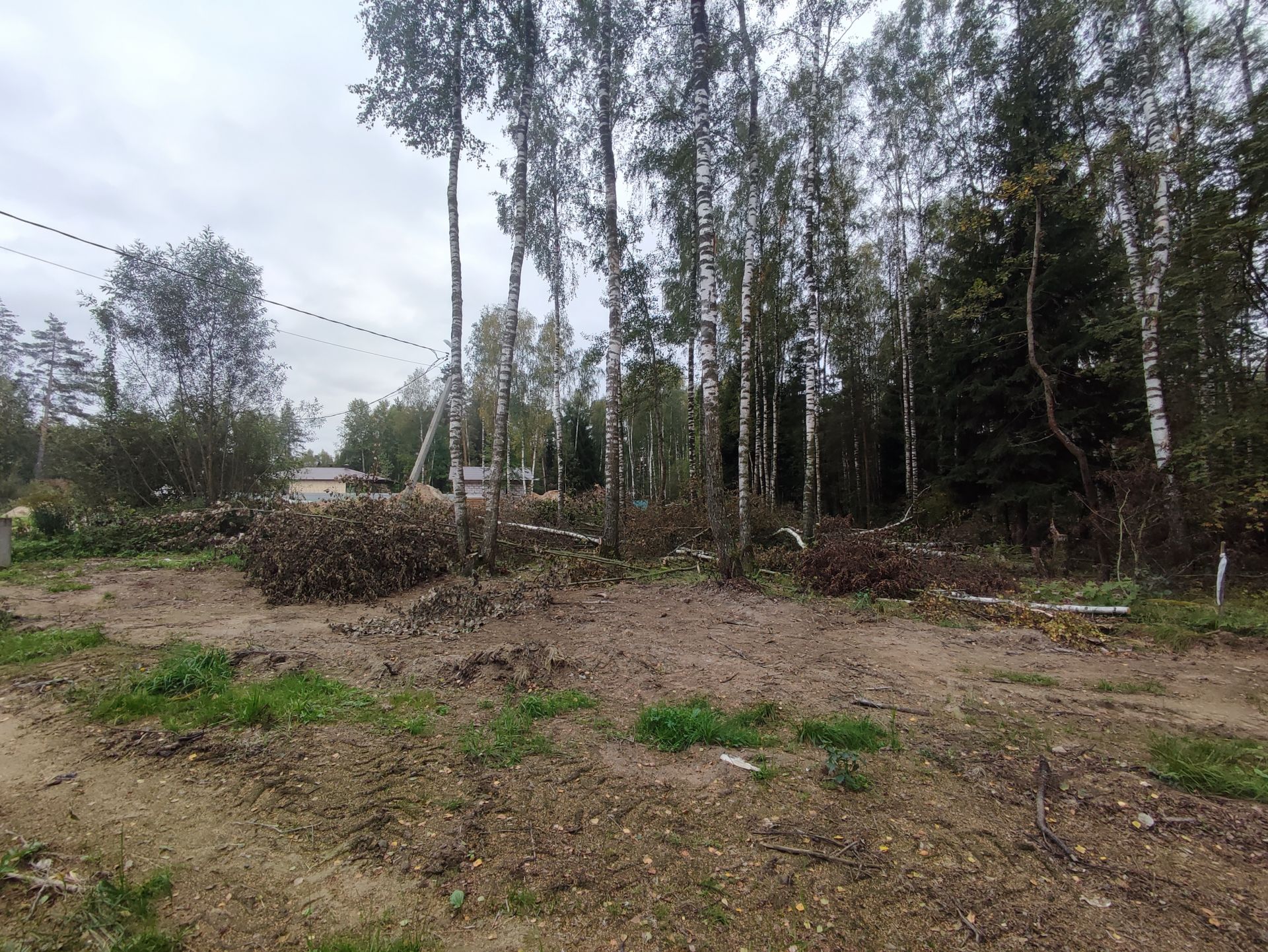 Земли поселения Московская область, Богородский городской округ, Электроугли, микрорайон Светлый, Лесной проезд