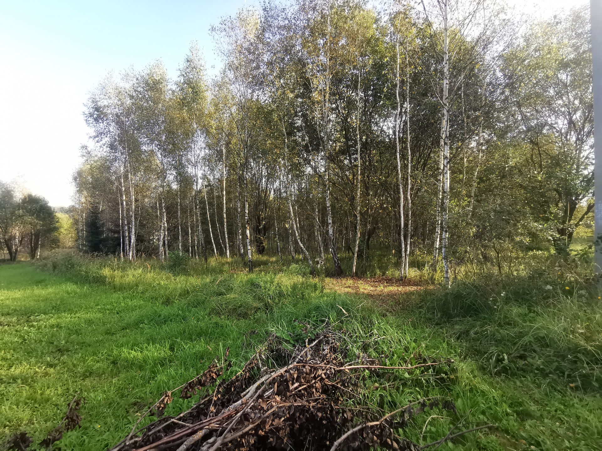 Купить Участок В Лукерьино Коломенского Района