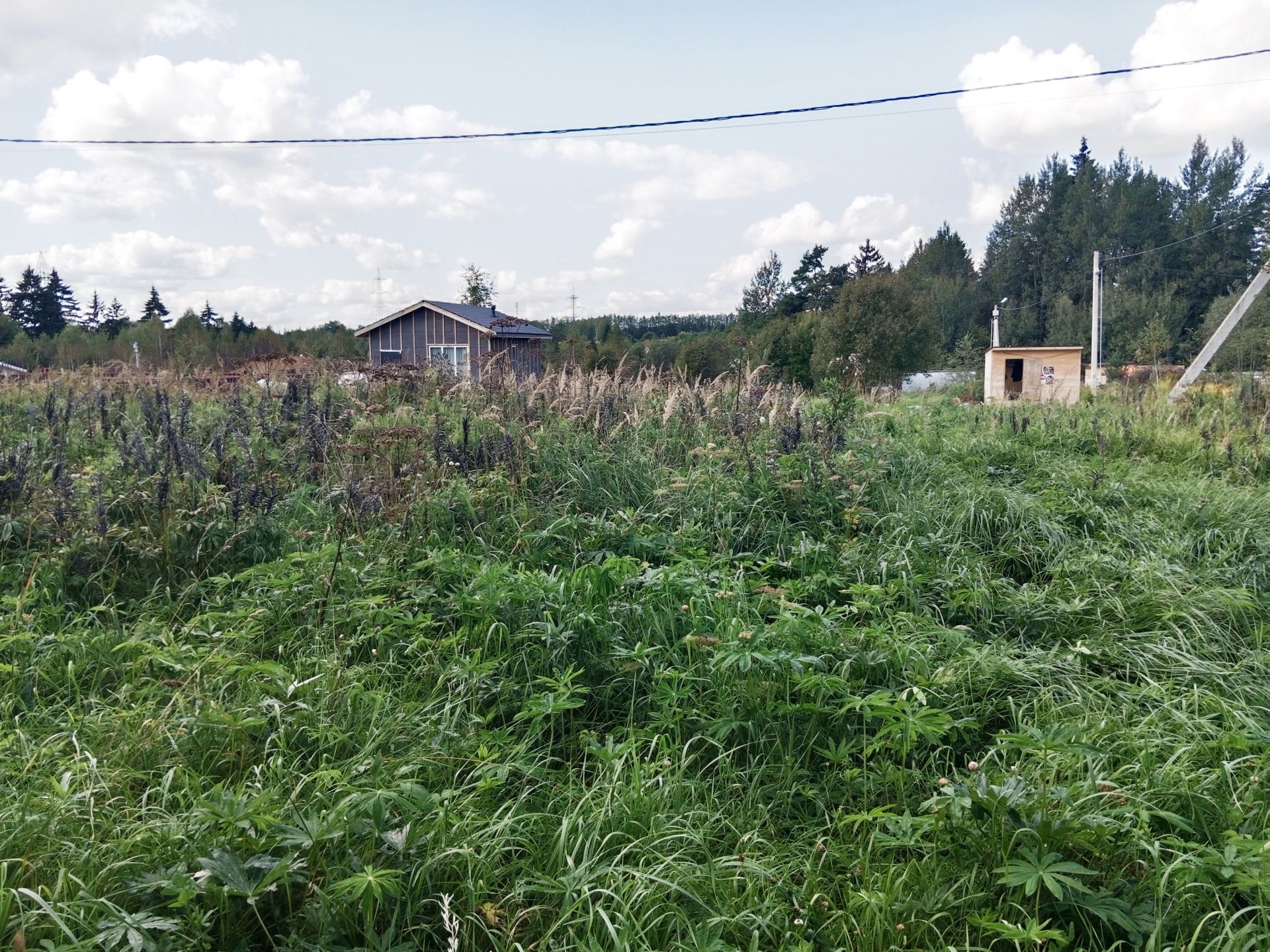 Земли поселения Московская область, Рузский городской округ
