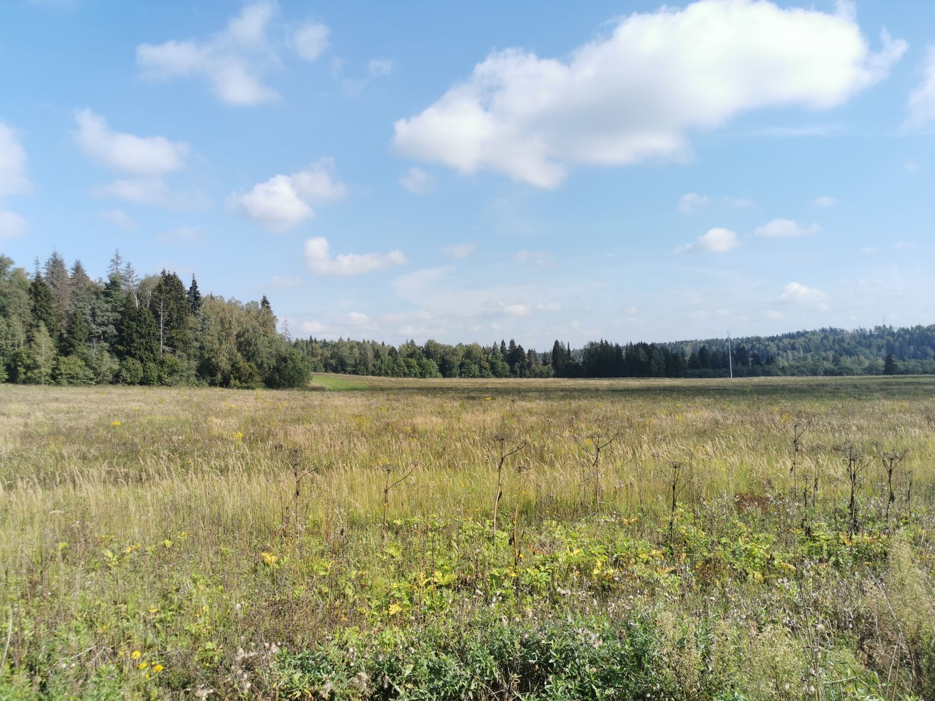 Земли поселения Московская область, Рузский городской округ, деревня Игнатьево