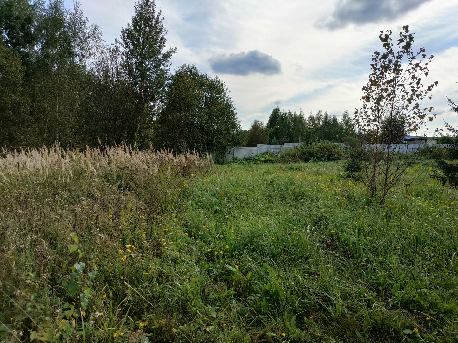 Земли поселения Московская область, Наро-Фоминский городской округ, деревня Свитино