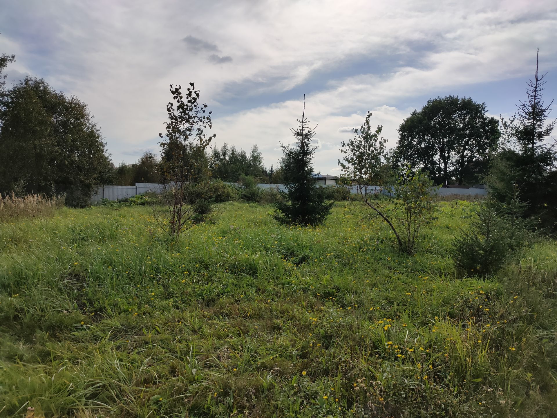Земли поселения Московская область, Наро-Фоминский городской округ, деревня Свитино