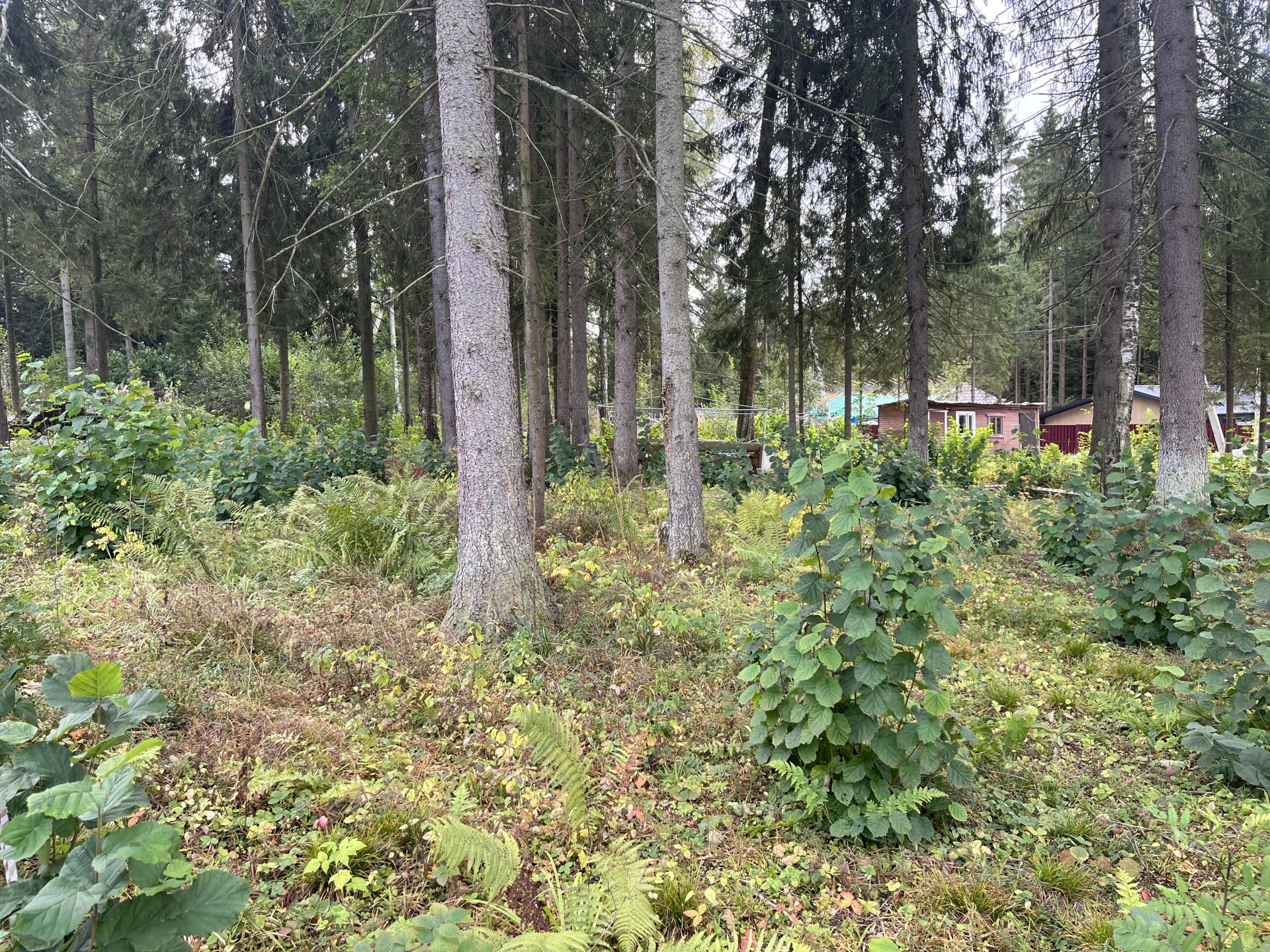 Земли сельхозназначения Московская область, городской округ Химки, коттеджный посёлок Жилино-Малинки