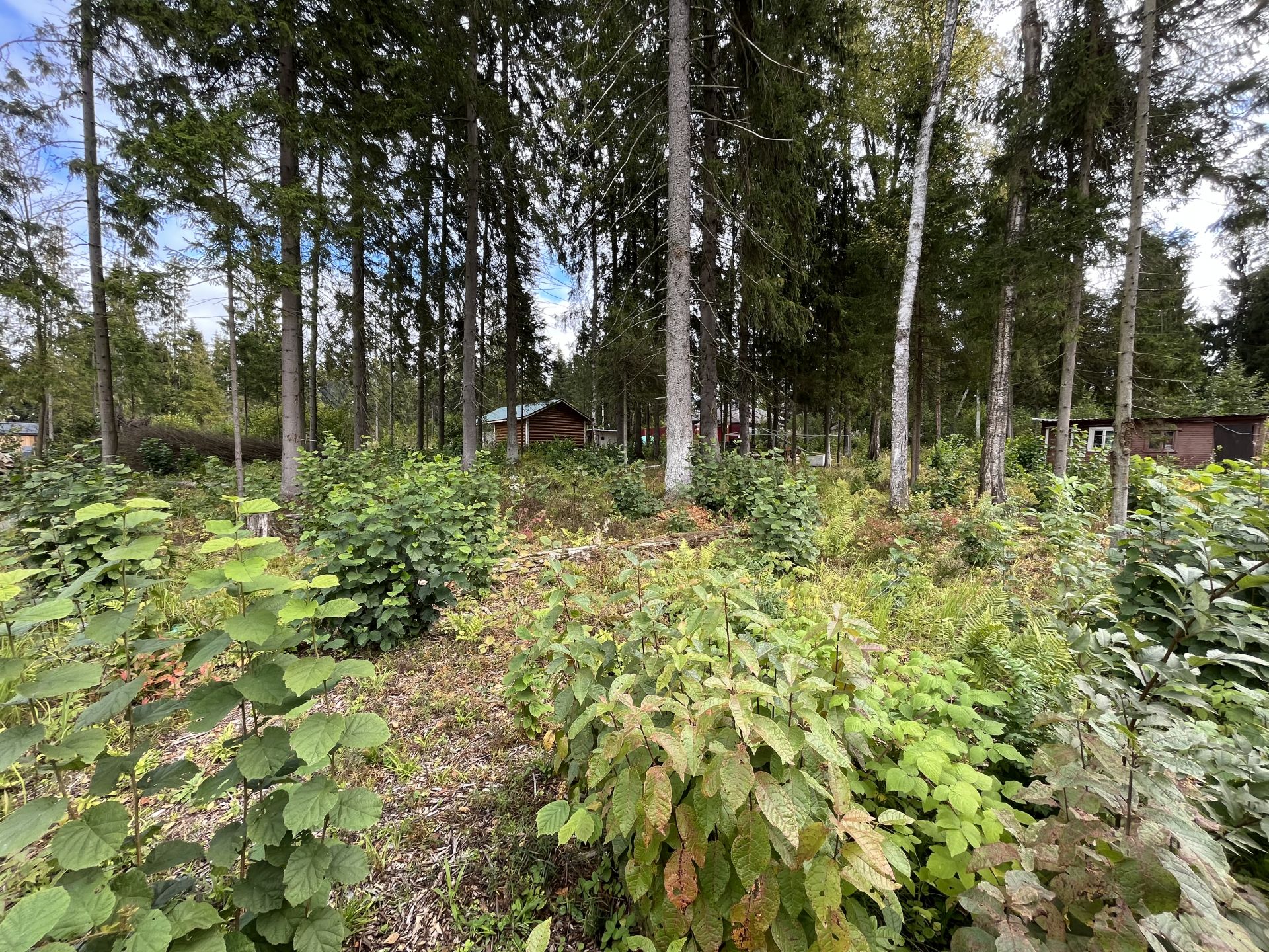 Земли сельхозназначения Московская область, городской округ Химки, коттеджный посёлок Жилино-Малинки