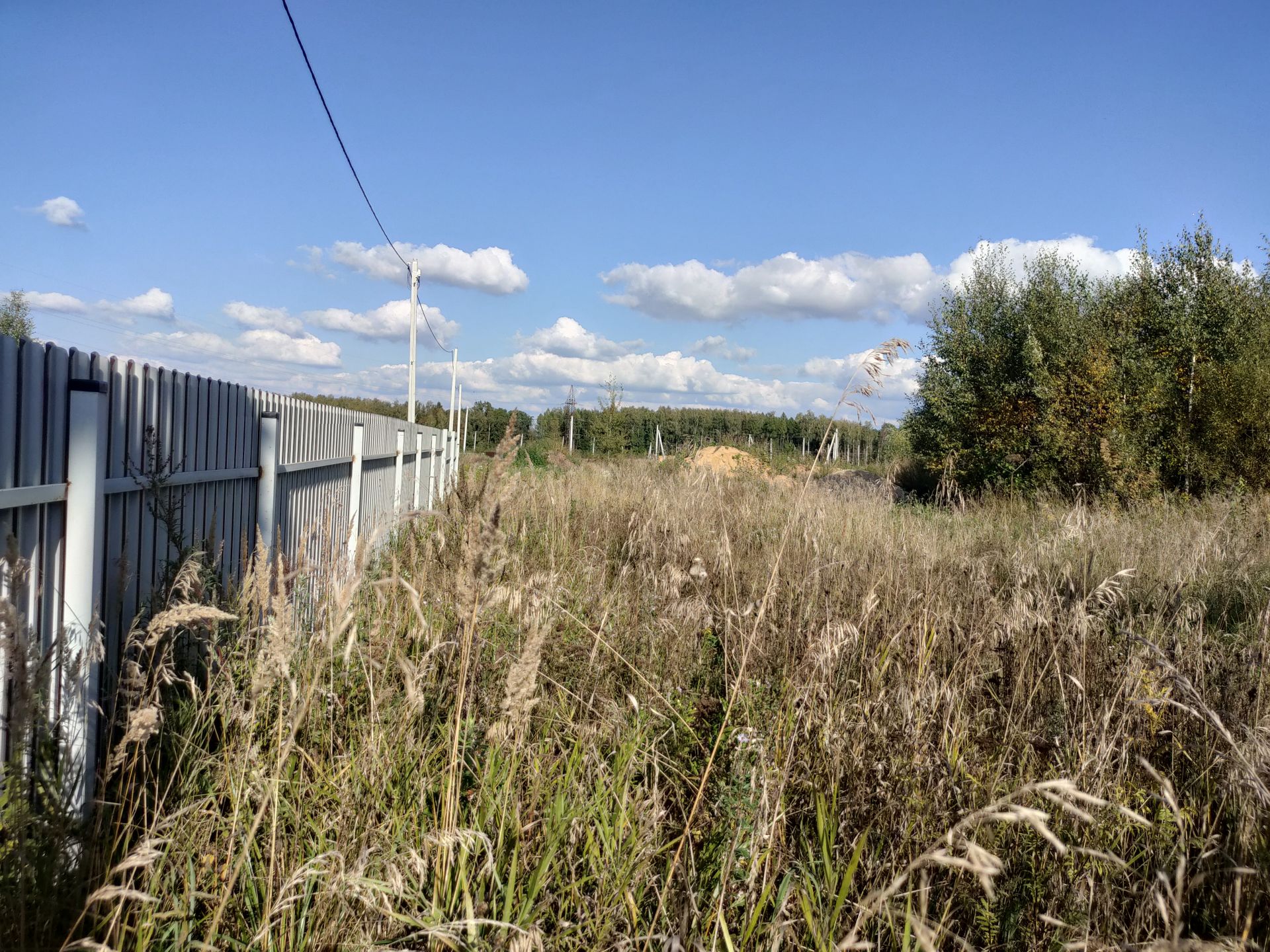 Земли поселения Московская область, Наро-Фоминский городской округ, деревня Свитино