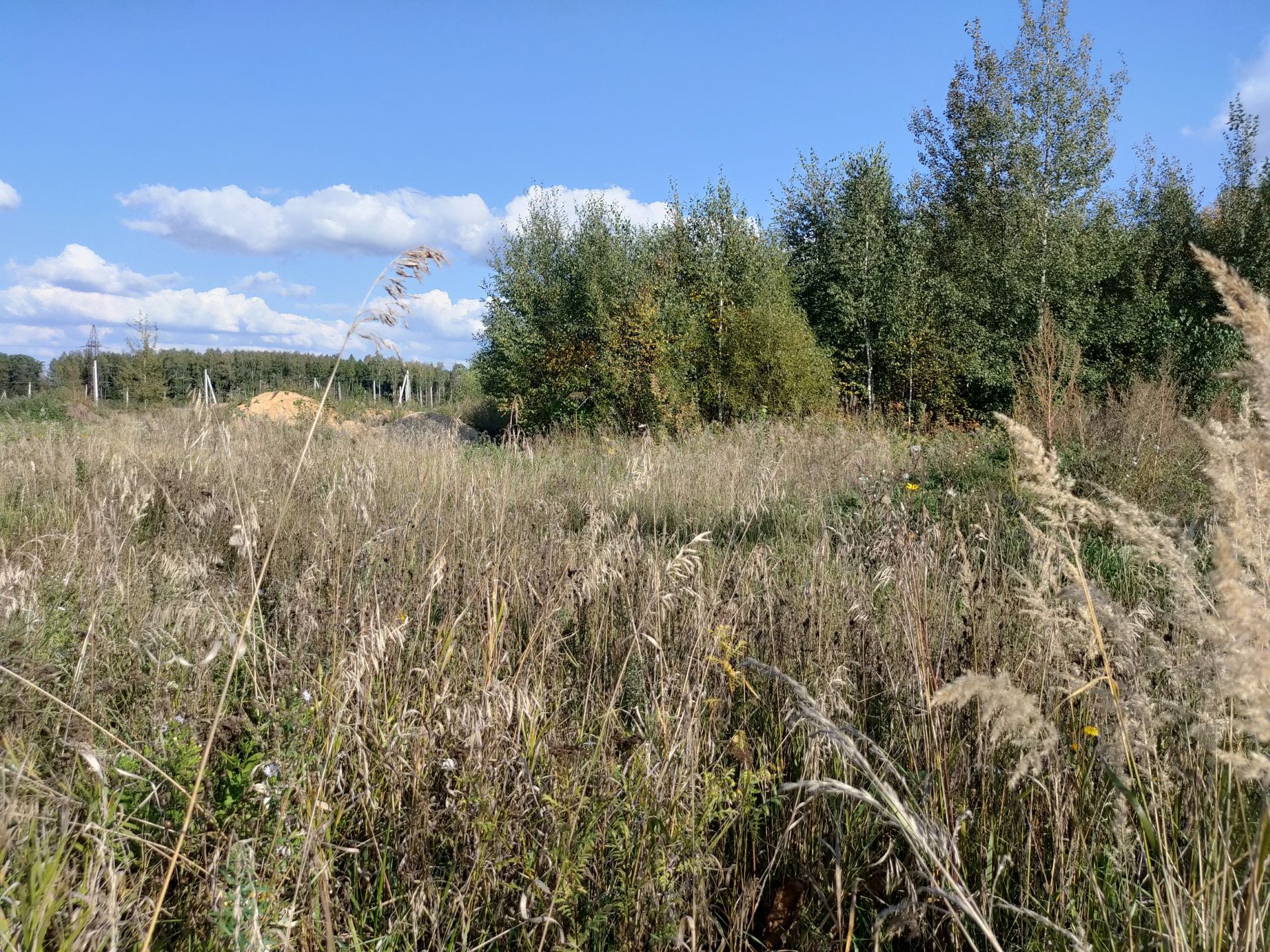 Земли поселения Московская область, Наро-Фоминский городской округ, деревня Свитино