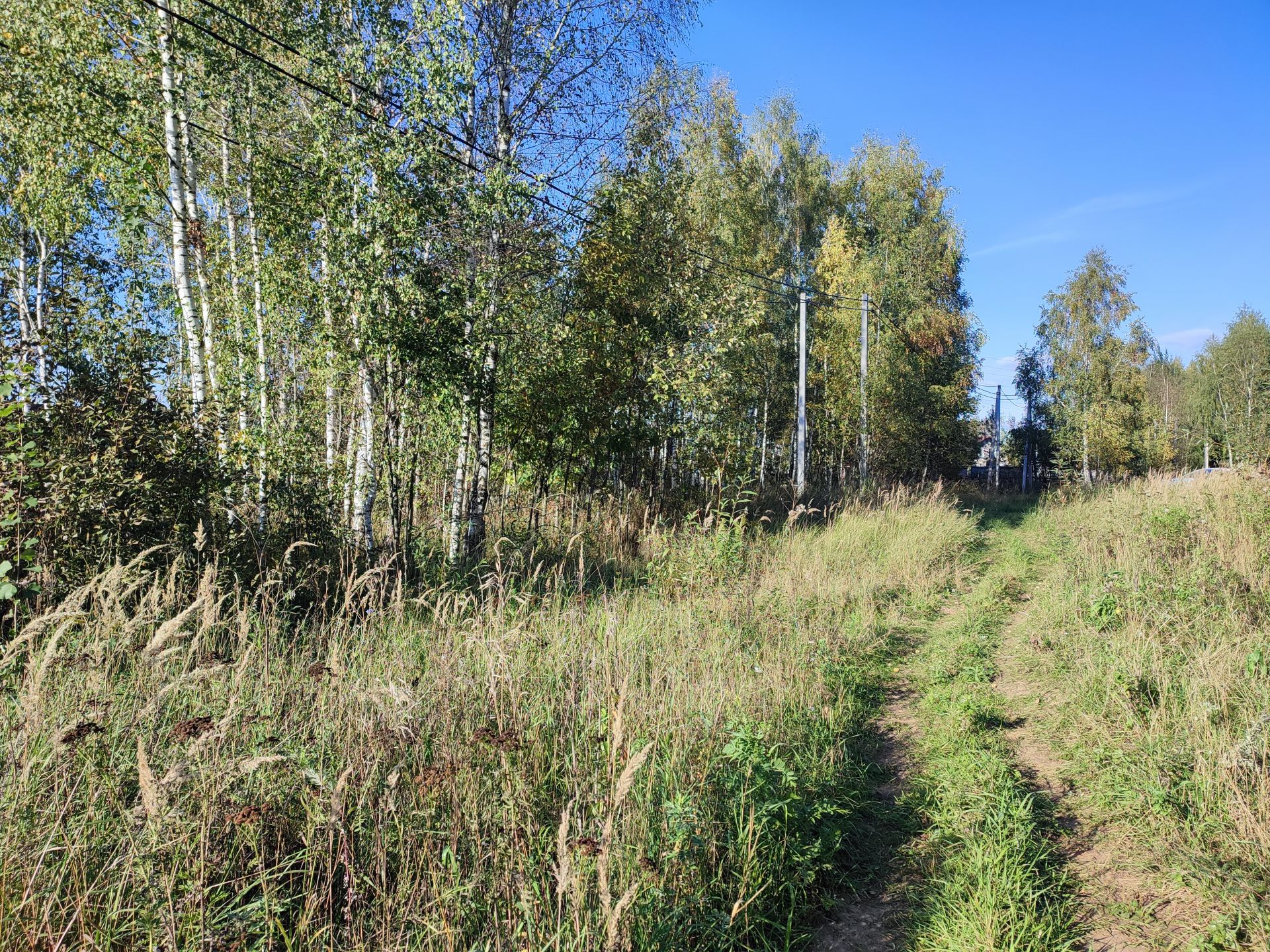 Земли поселения Московская область, Богородский городской округ, деревня Ивашево, Парковая улица