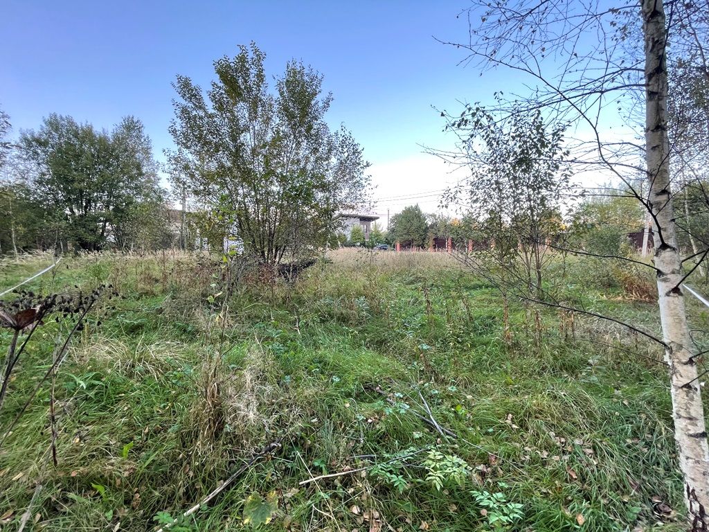 Земли сельхозназначения Московская область, городской округ Мытищи, деревня Малое Ивановское