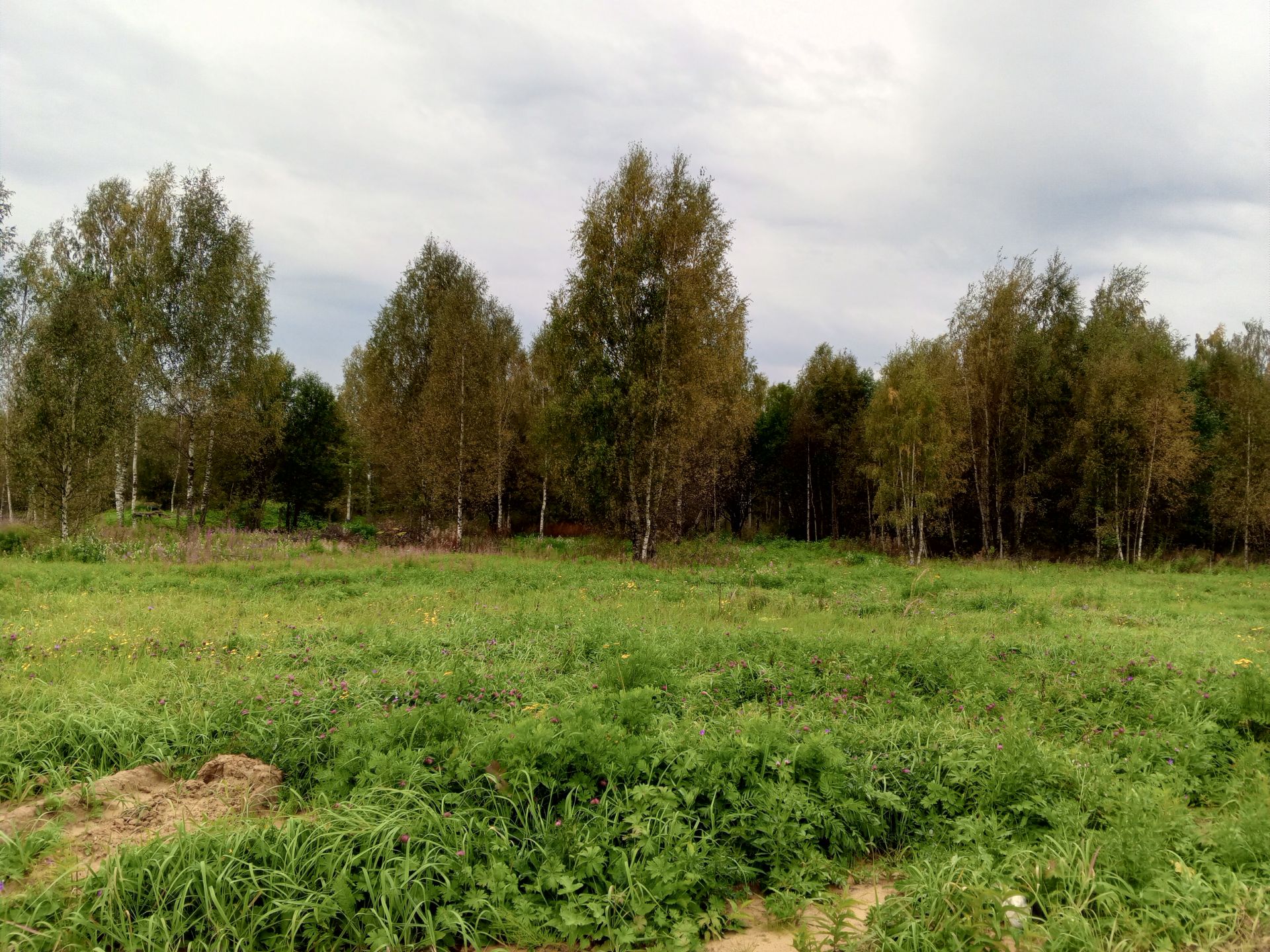 Земли сельхозназначения Московская область, городской округ Солнечногорск, деревня Тимоново