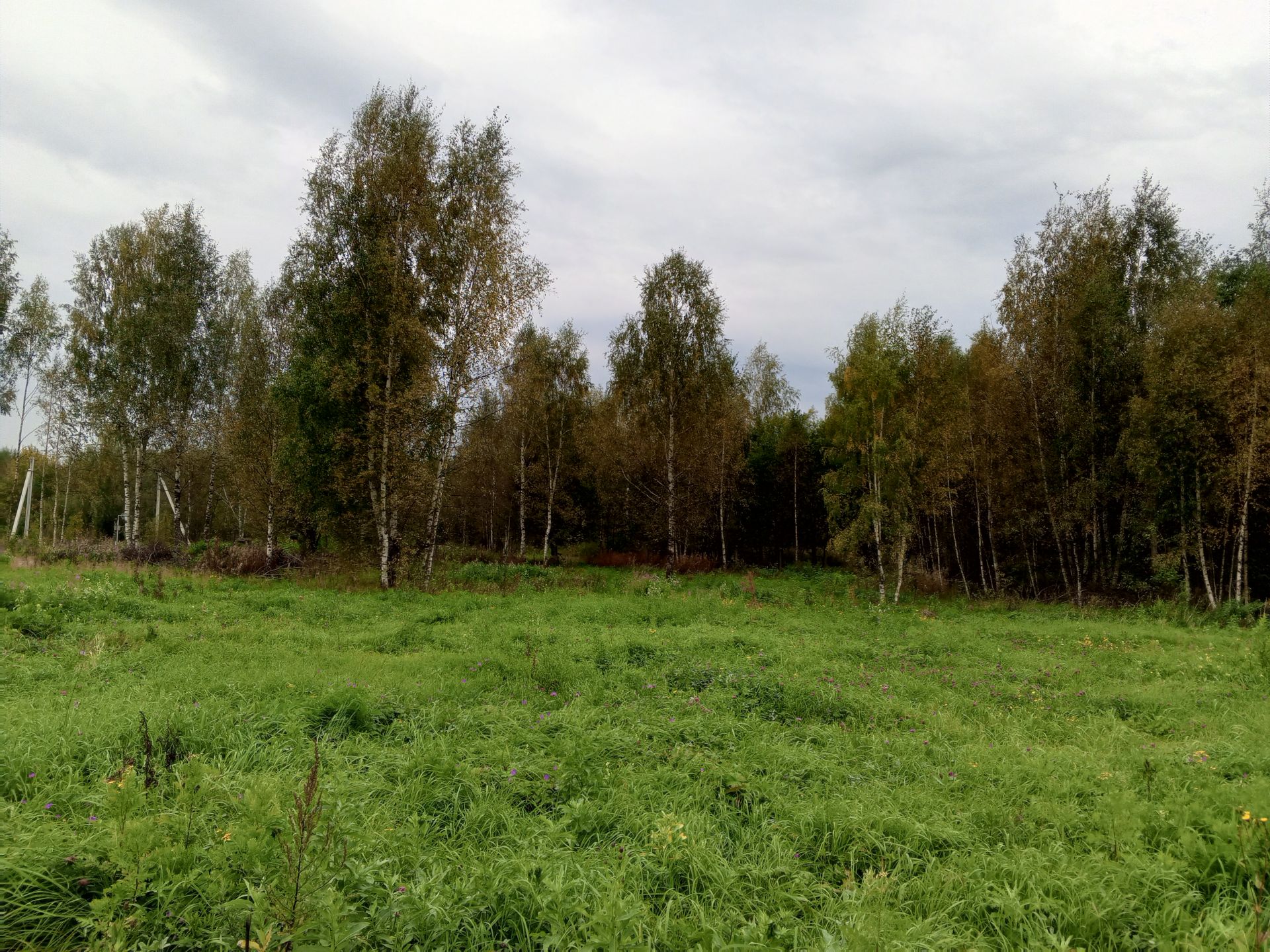 Земли сельхозназначения Московская область, городской округ Солнечногорск, деревня Тимоново