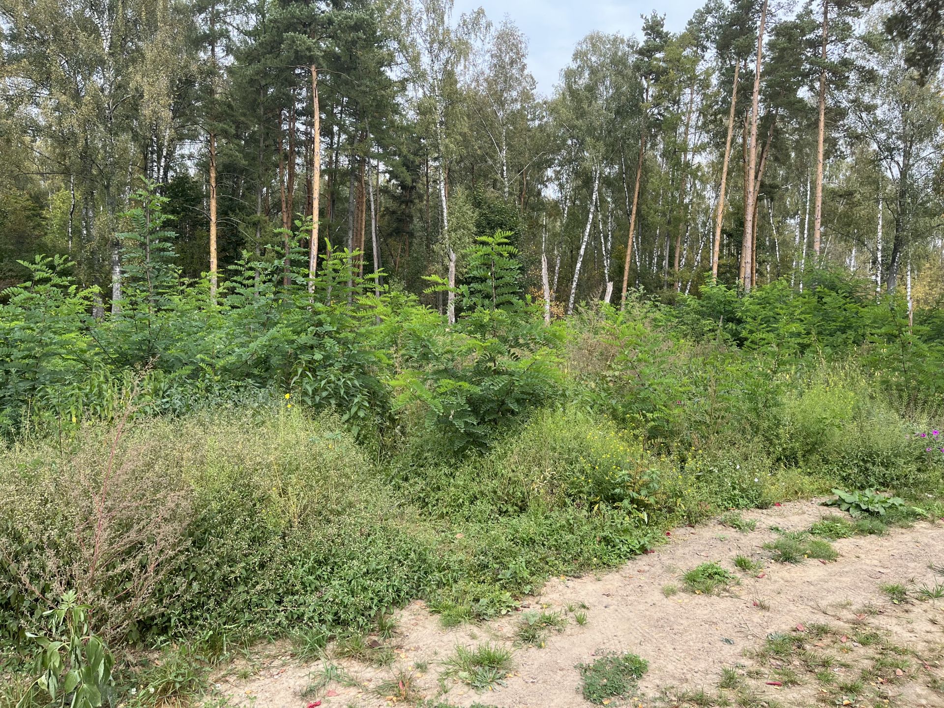 Купить Участок В Октябрьском Районе