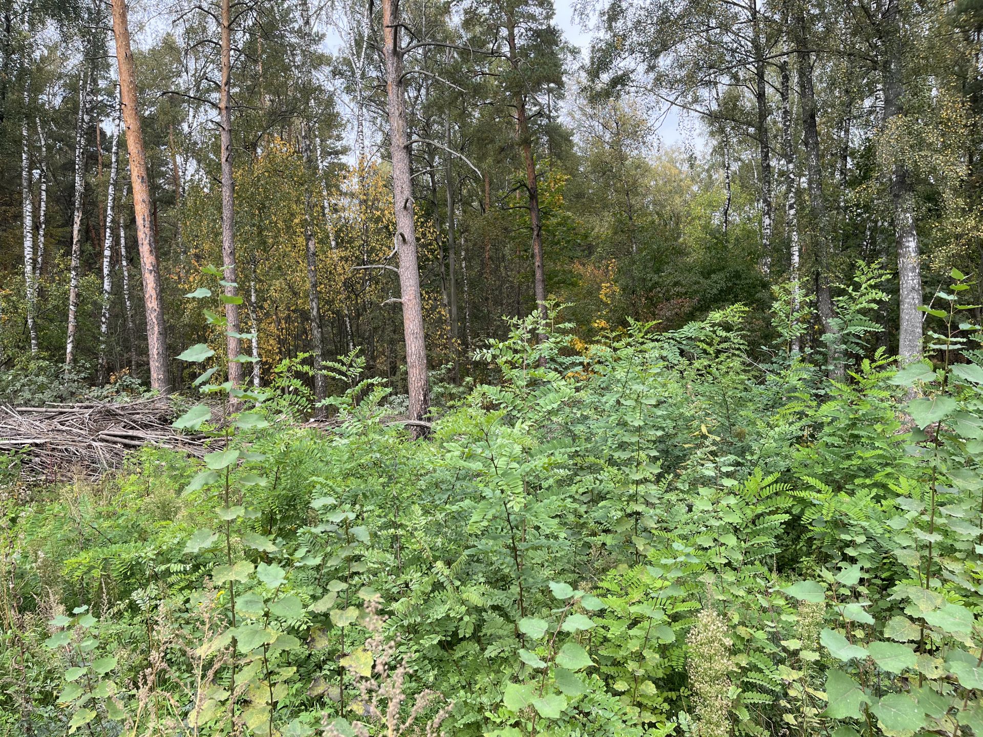Купить Участок В Октябрьском Районе
