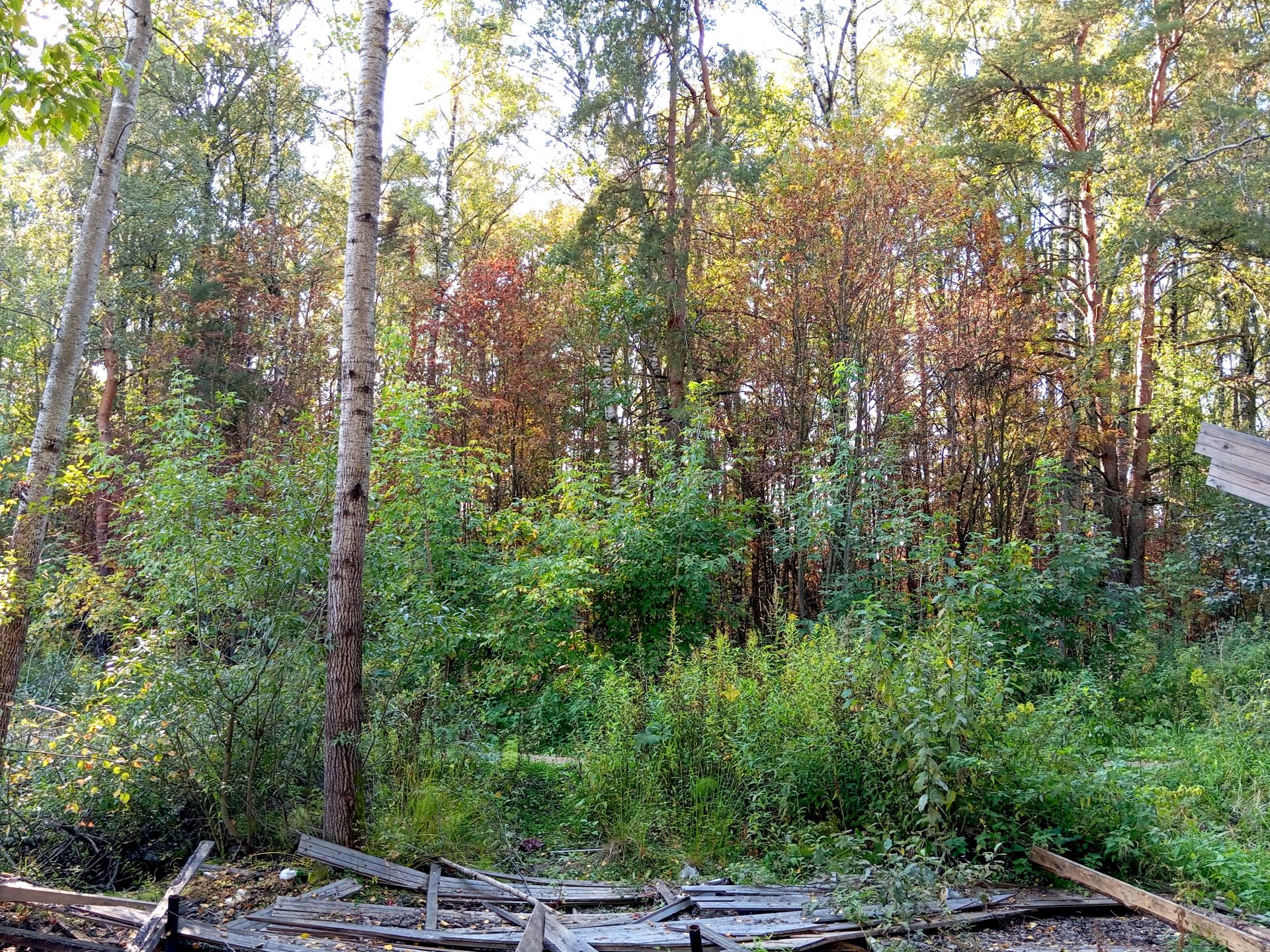 Земли поселения Московская область, Богородский городской округ ...