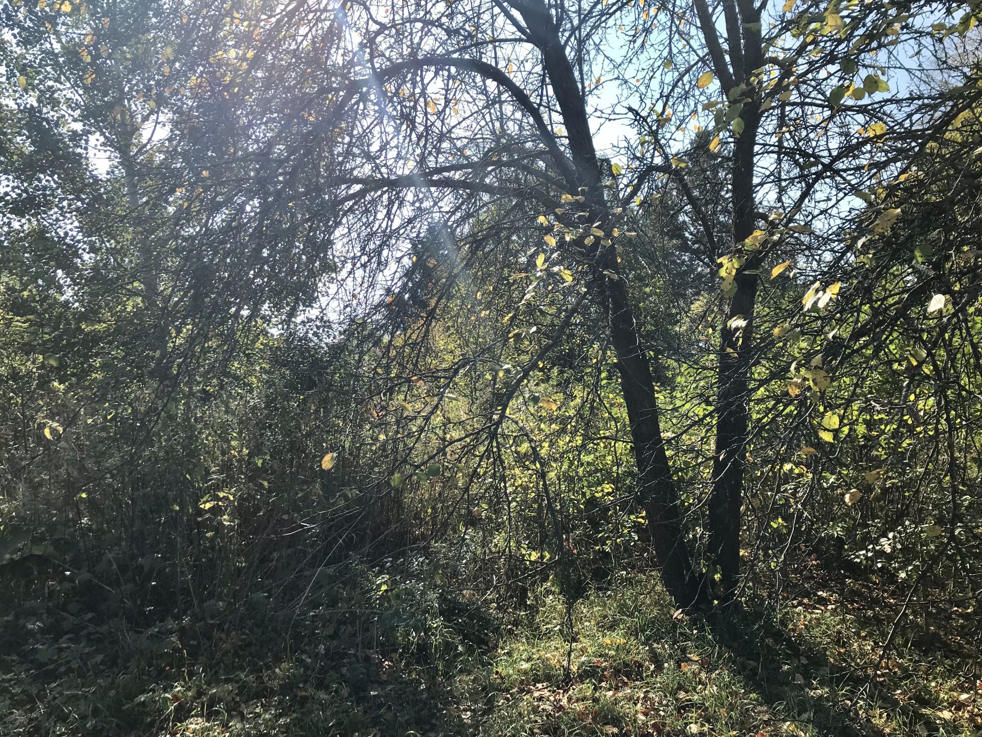 Земли поселения Московская область, Раменский городской округ, село Воскресенское