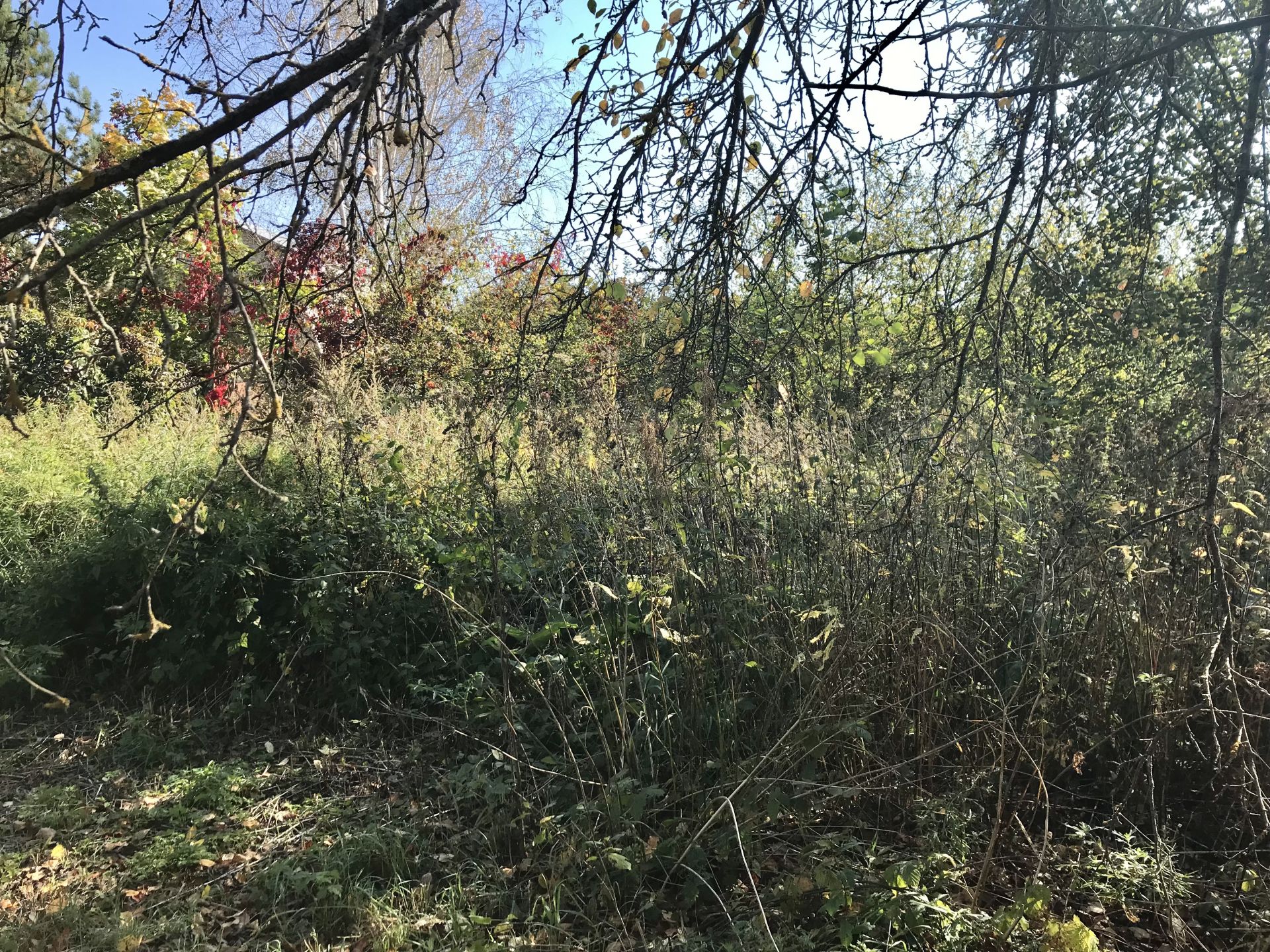 Земли поселения Московская область, Раменский городской округ, село Воскресенское