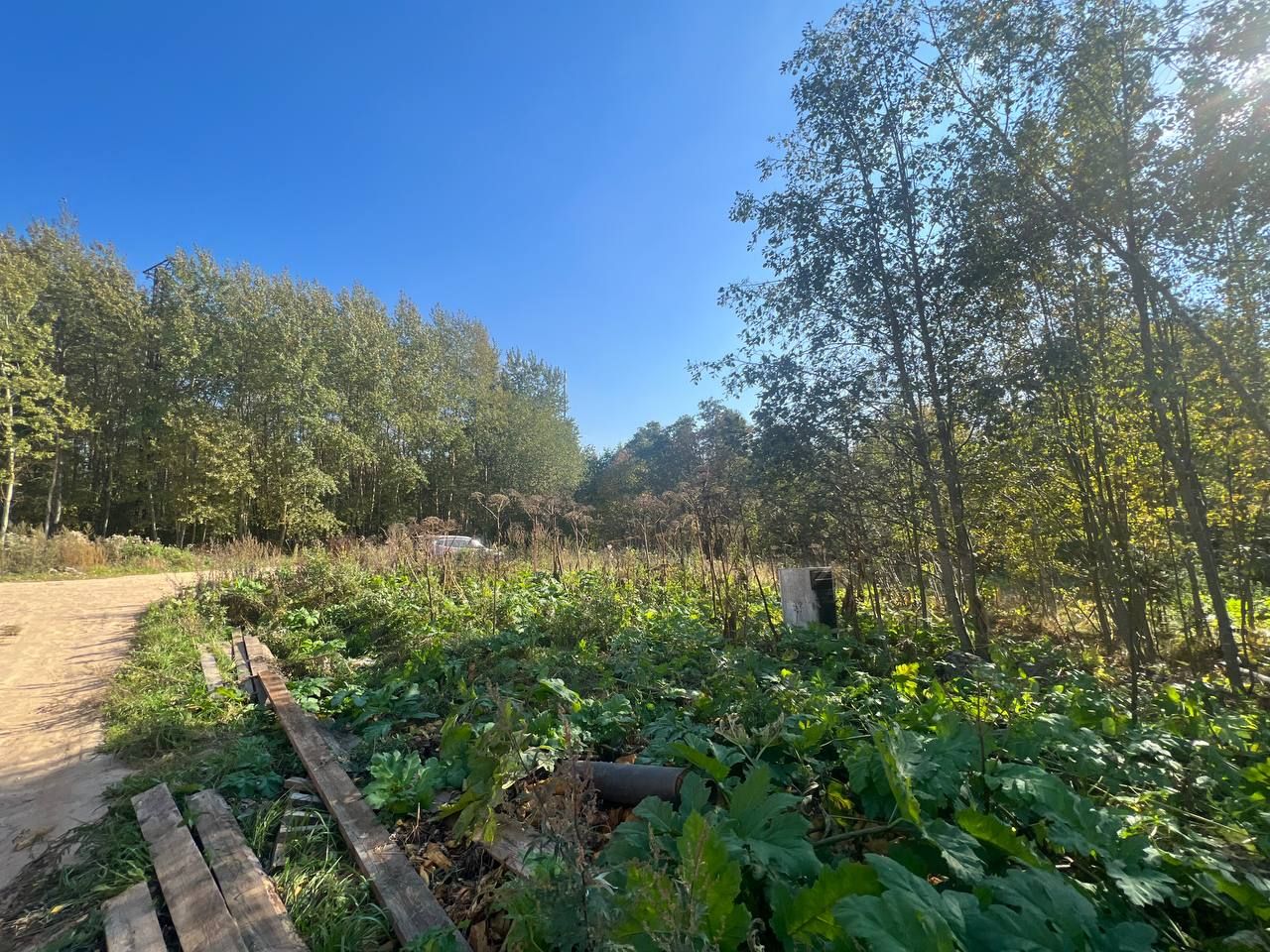 Земли поселения Московская область, Дмитровский городской округ ...