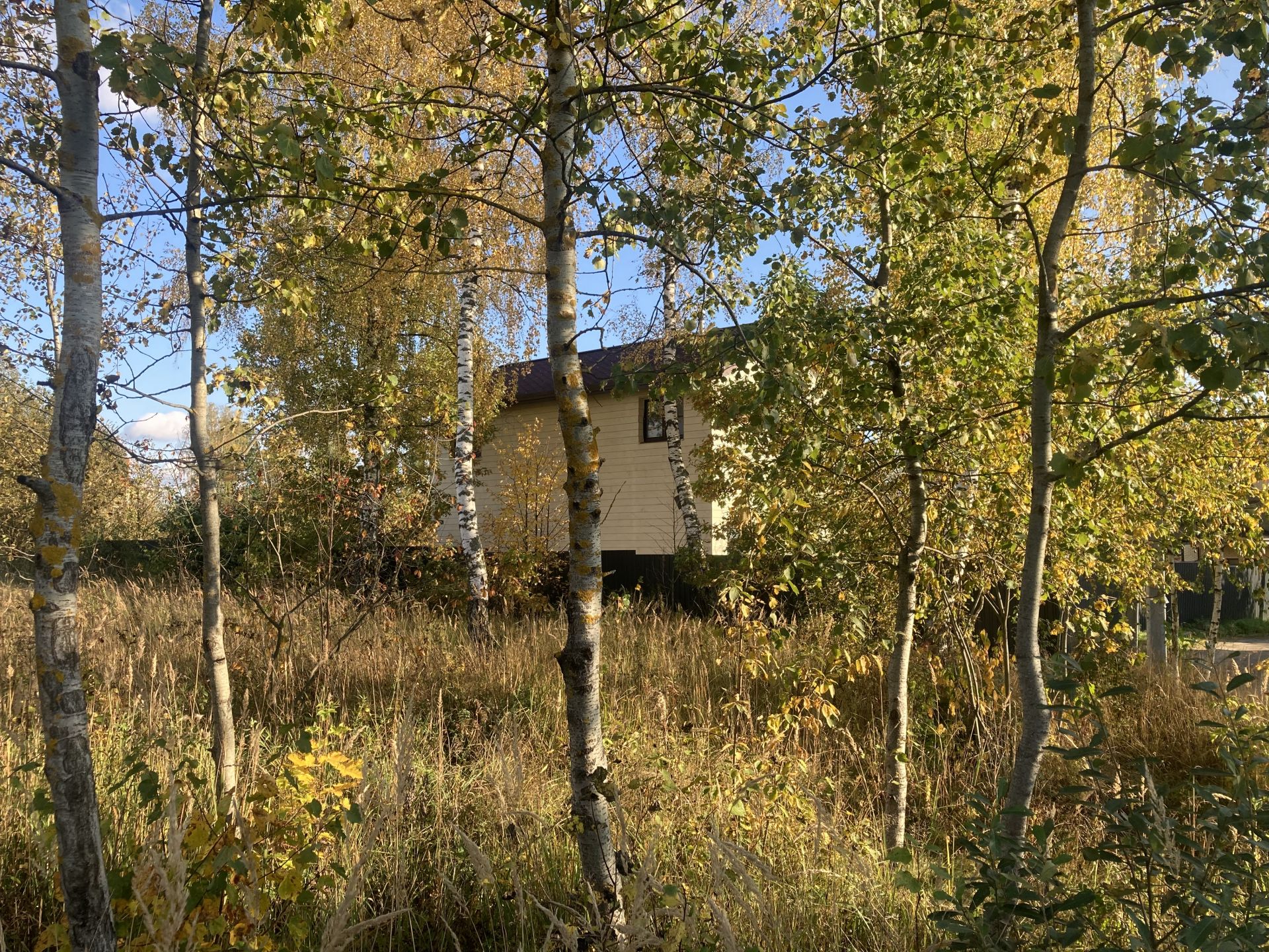 Земли поселения Московская область, городской округ Щёлково, садовое  товарищество Берёзовая Роща – агентство недвижимости «Азбука недвижимости»  Москва и МО