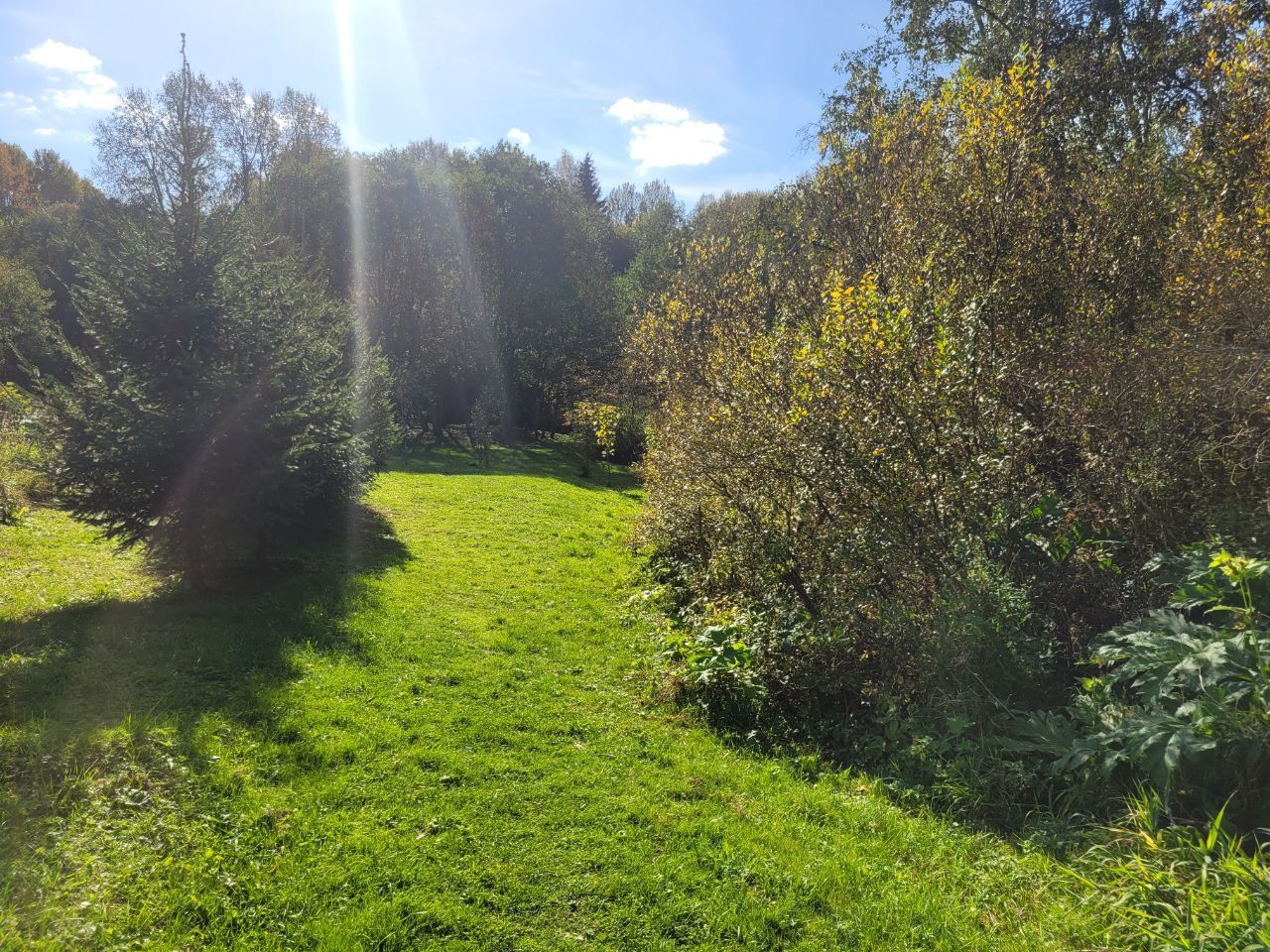 Рыбушки Истринский Район Участок Купить