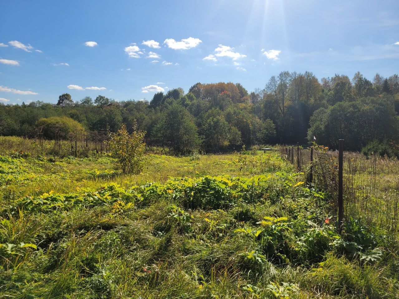 Рыбушки Истринский Район Участок Купить