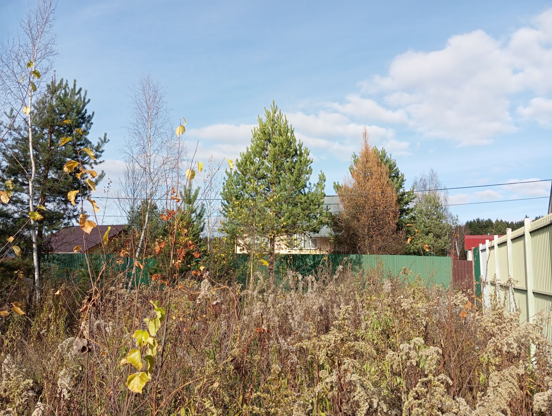 Земли сельхозназначения Московская область, Богородский городской округ, СНТ Электрон