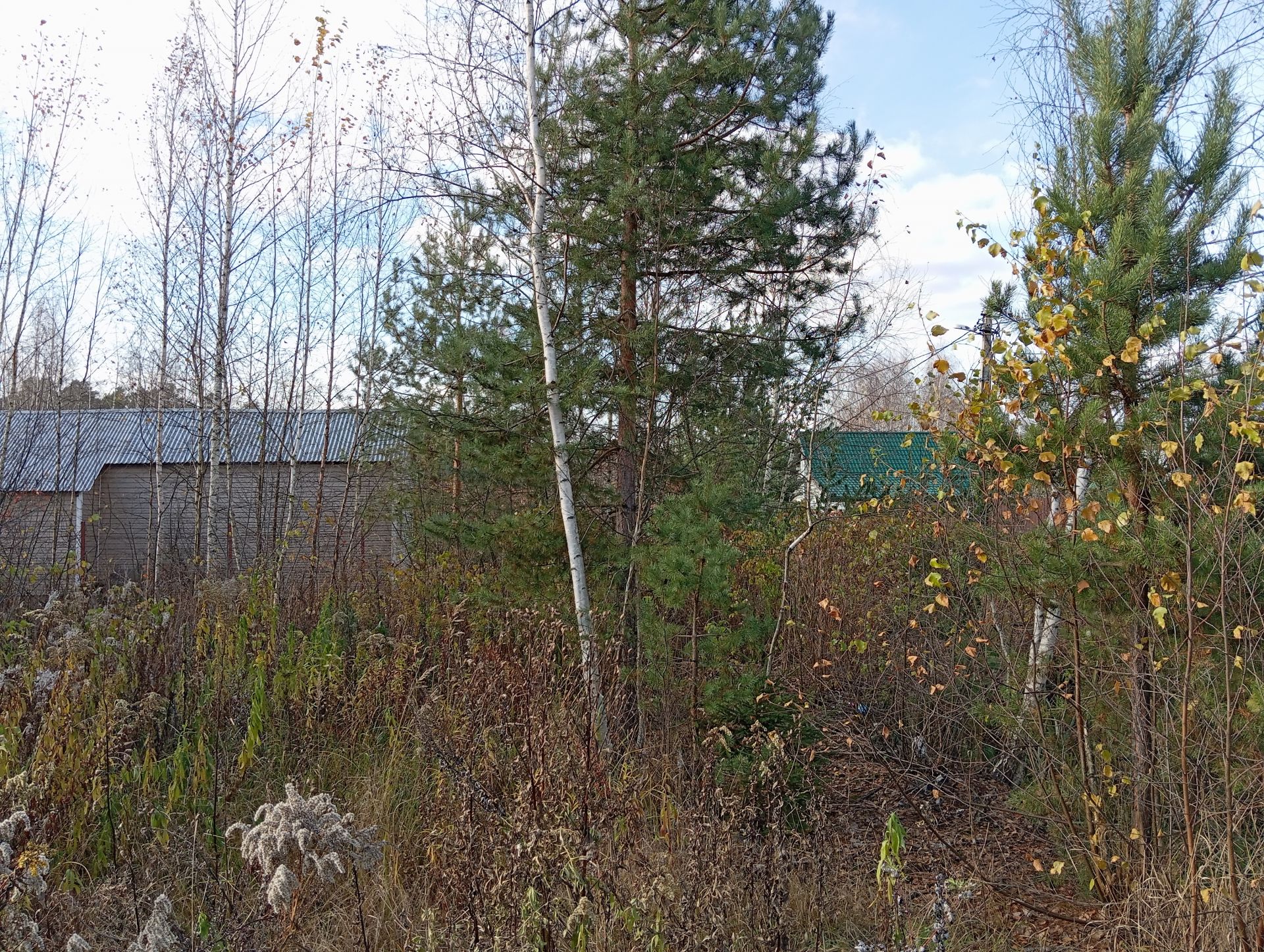 Земли сельхозназначения Московская область, Богородский городской округ, садовое товарищество Электрон