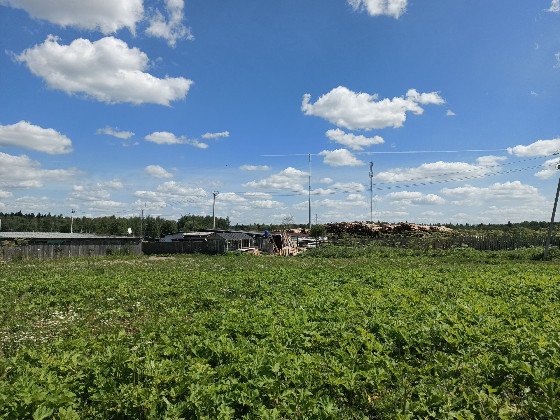 Земли поселения Московская область, городской округ Истра, деревня Духанино