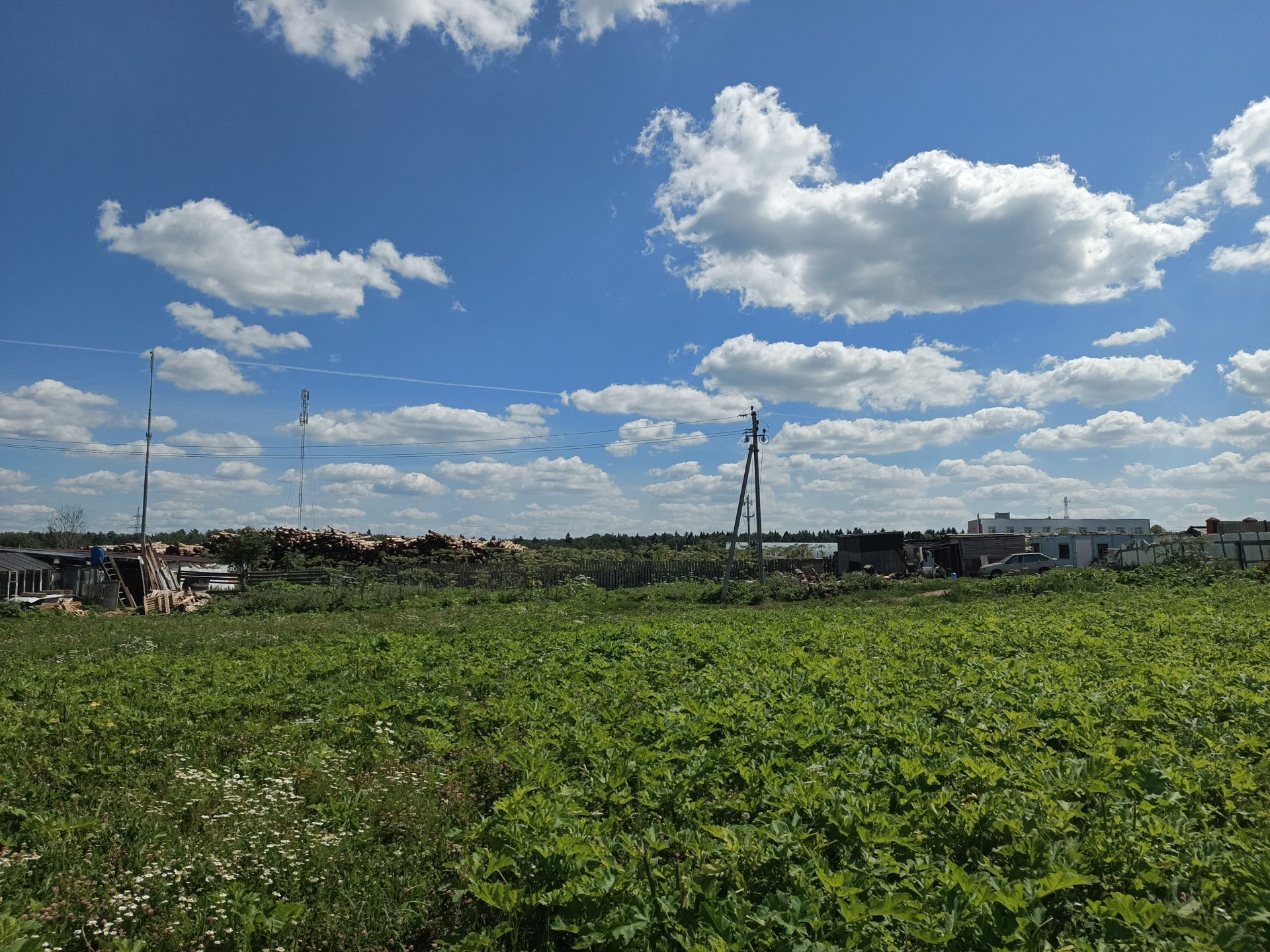Земли поселения Московская область, городской округ Истра, деревня Духанино