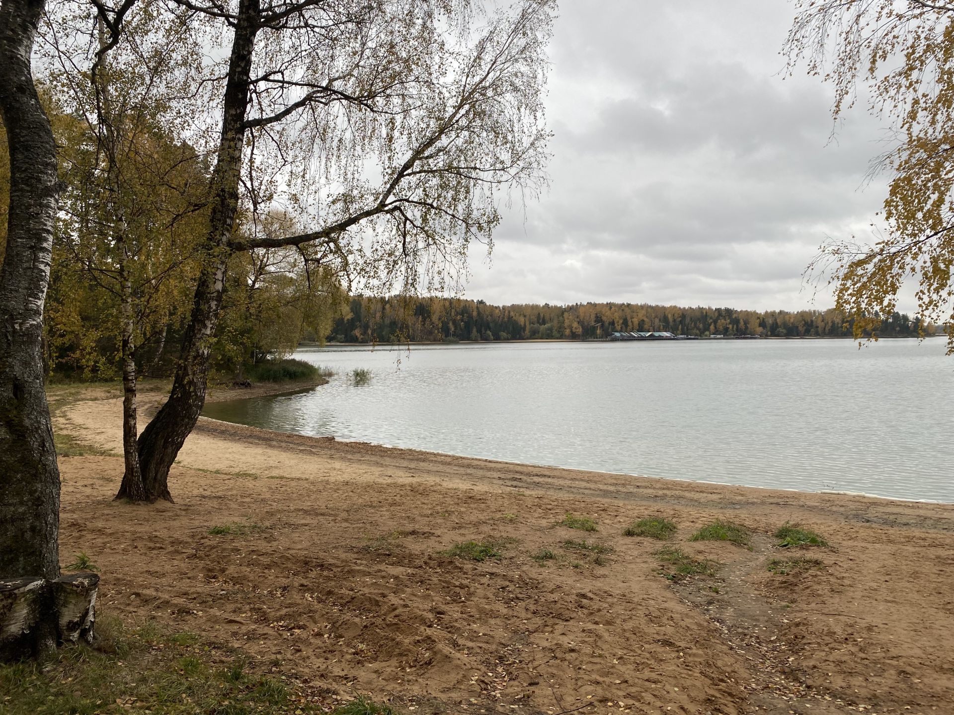 Земли поселения Московская область, городской округ Солнечногорск, деревня Лопотово