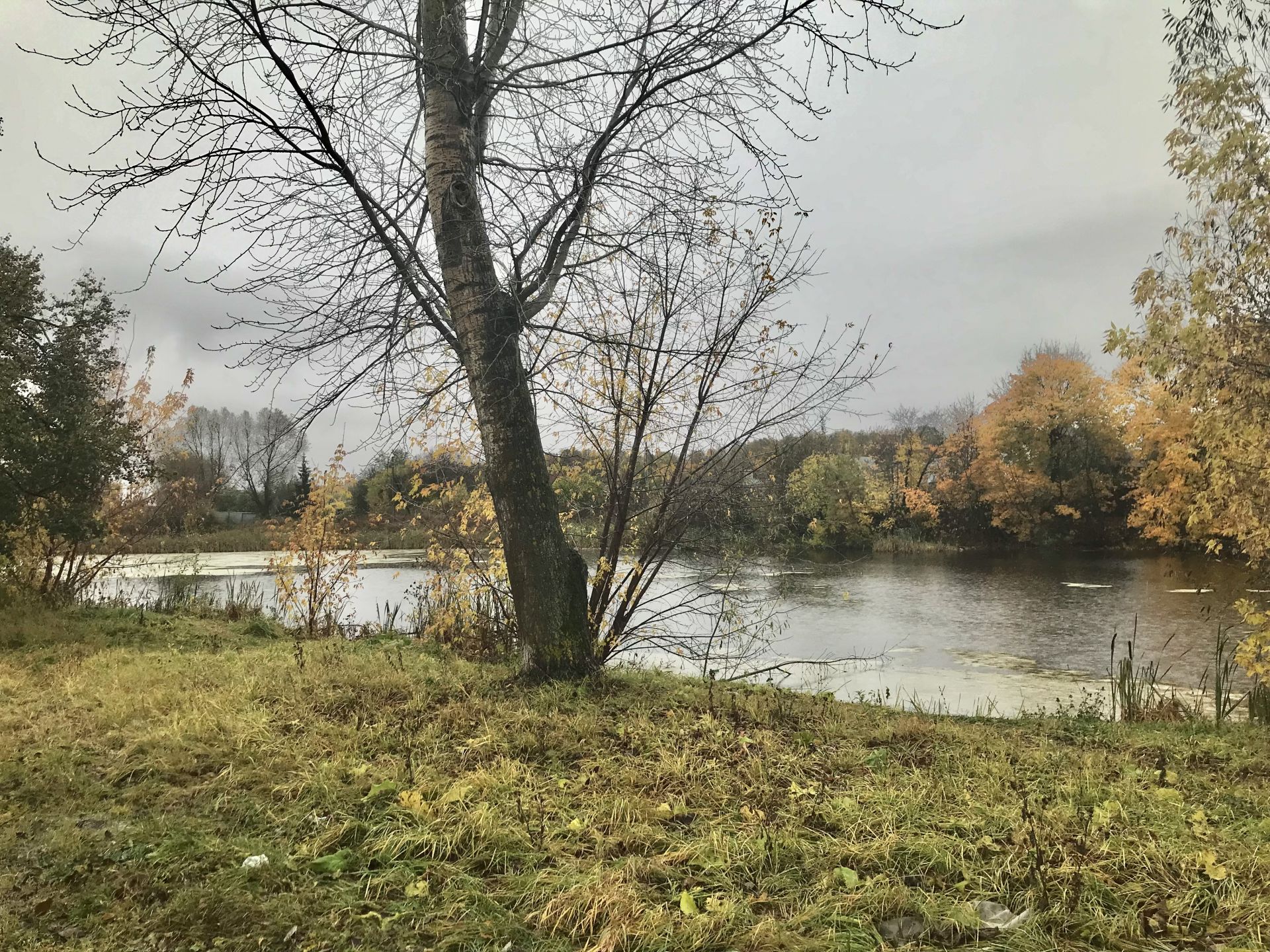 Земли сельхозназначения Московская область, городской округ Воскресенск, Фединский территориальный отдел