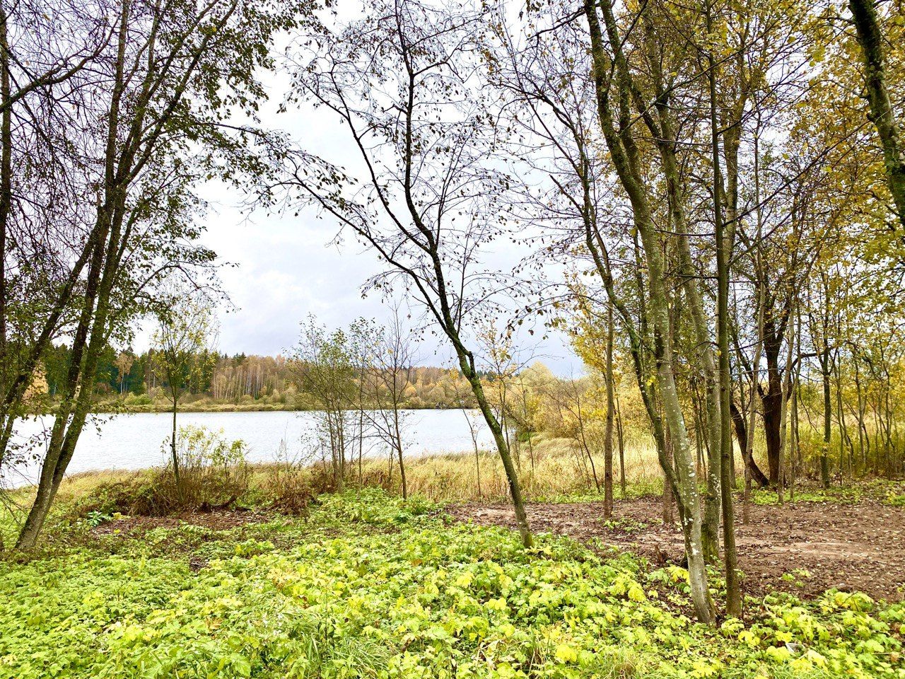 Земли сельхозназначения Московская область, Можайский г.о. СН ТСН " Изумрудное озеро -3"