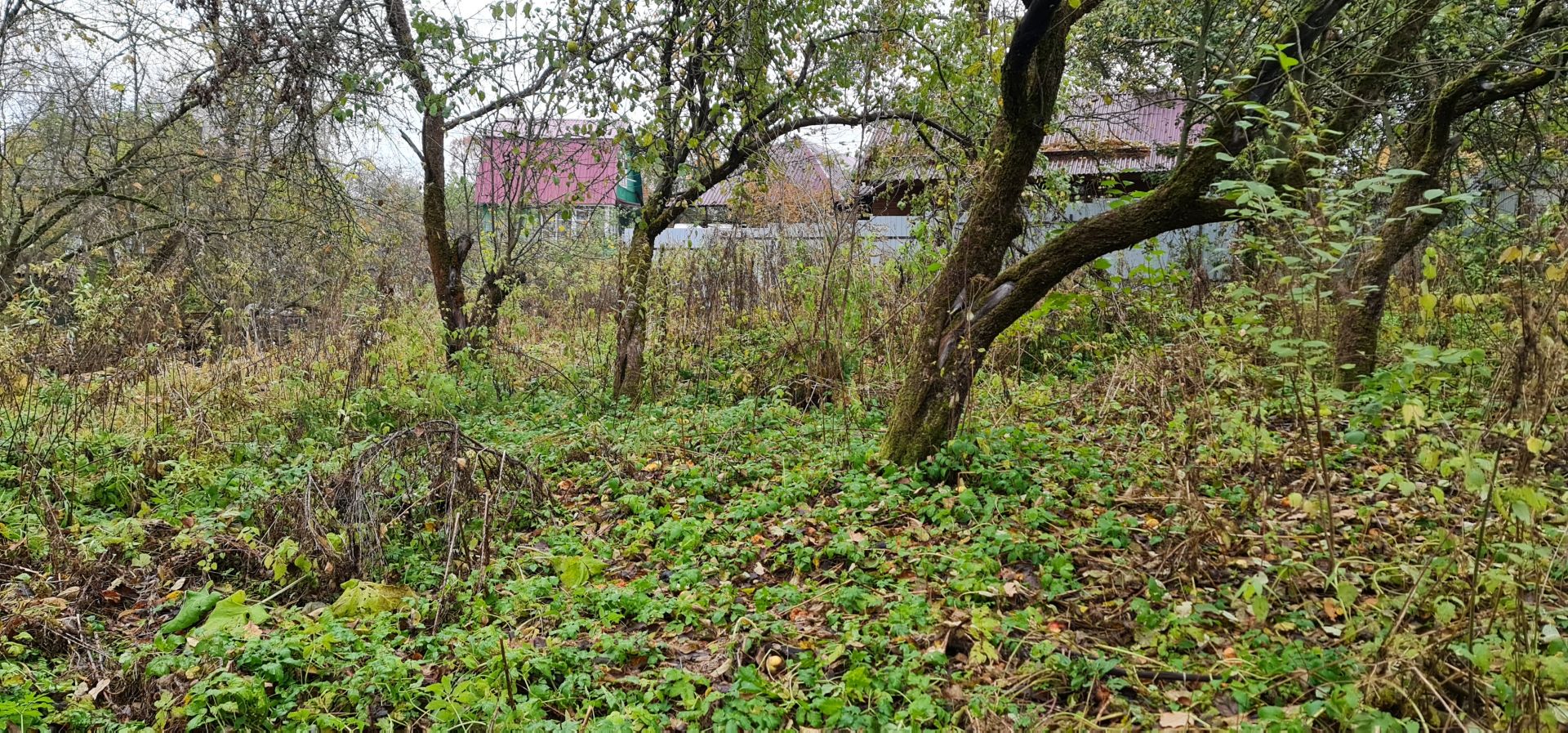 Купить Участок Богородское Сергиево Посадский Район