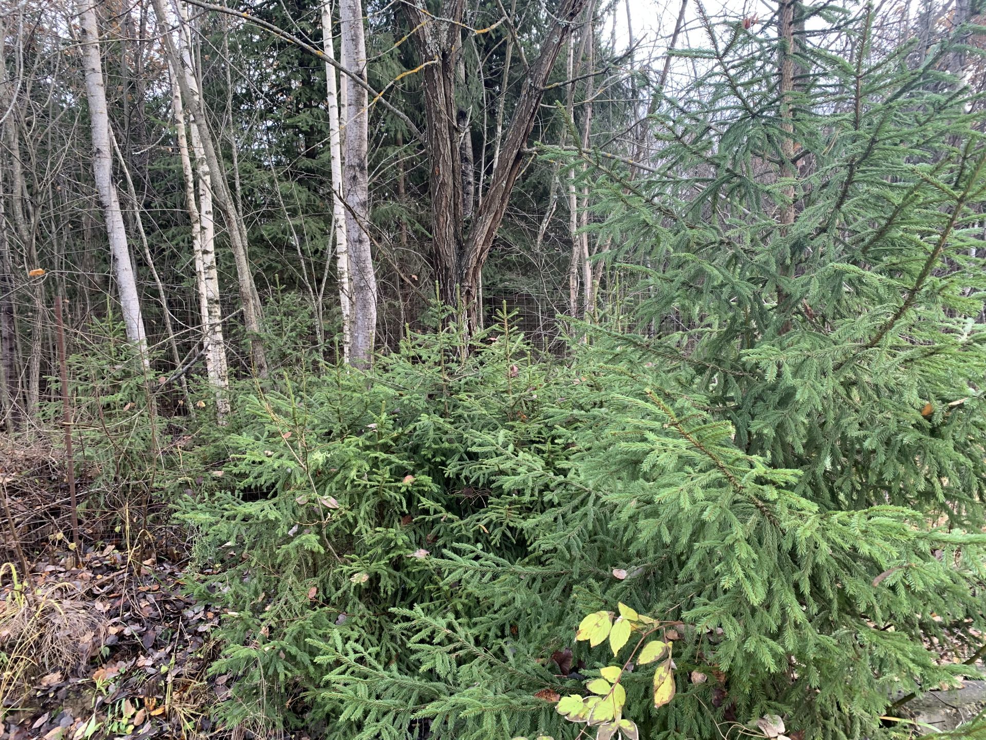 Земли поселения Московская область, Одинцовский городской округ, деревня Сивково, коттеджный посёлок Зелёная роща-1, 4-я Юго-Западная улица