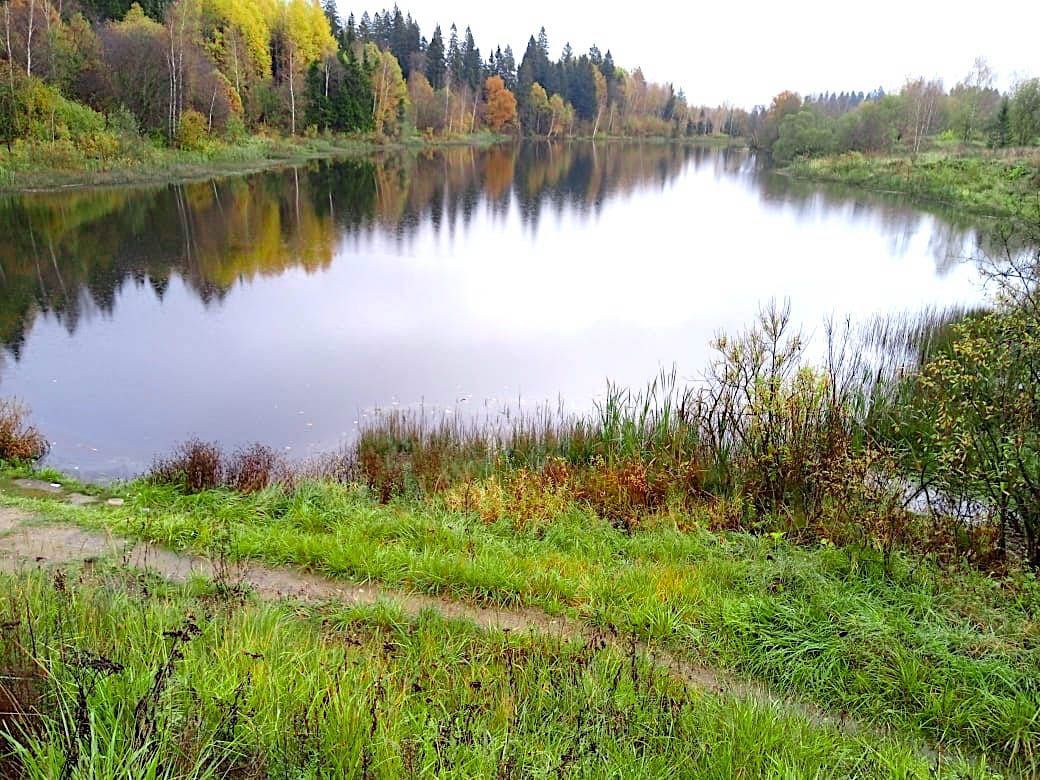 Земли поселения Московская область, городской округ Истра, село Онуфриево, Полевая улица