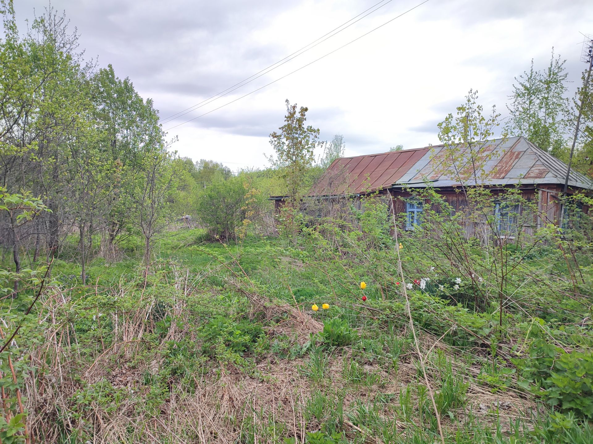 Земли поселения Московская область, Раменский городской округ, деревня Дор