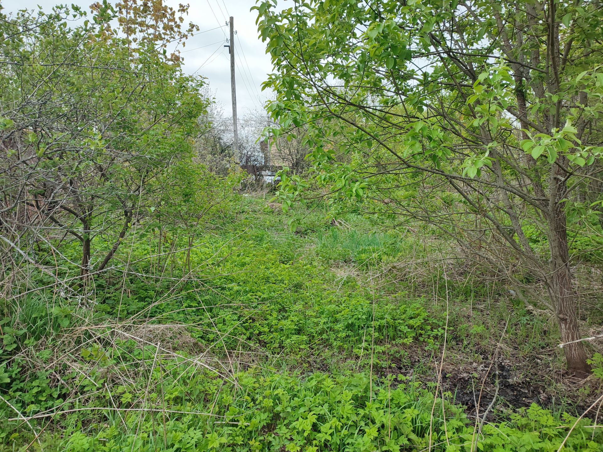 Земли поселения Московская область, Раменский городской округ, деревня Дор