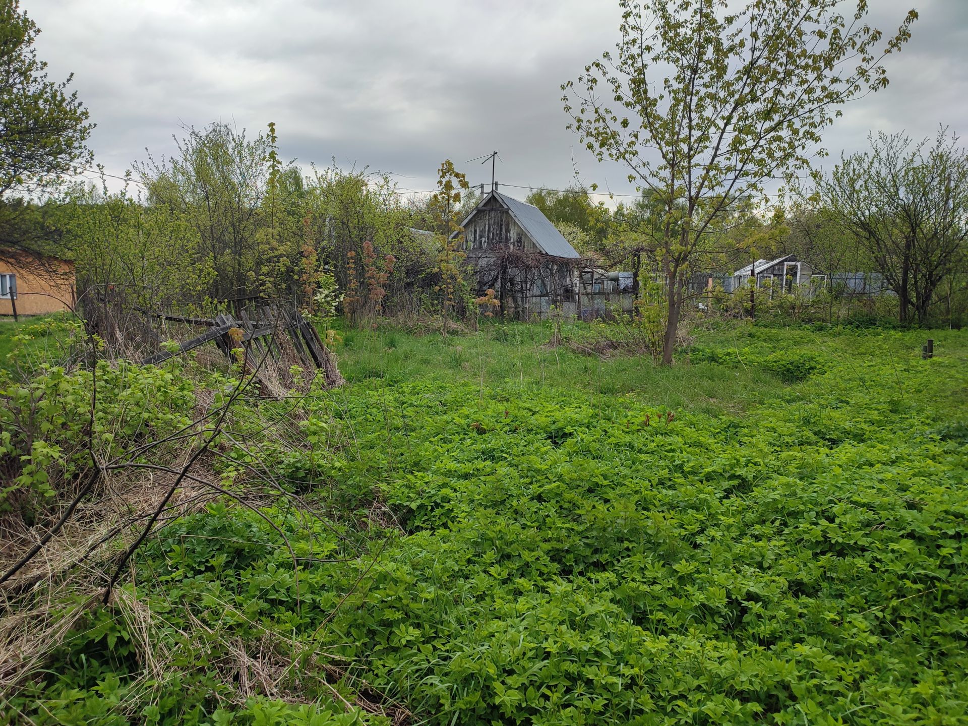 Земли поселения Московская область, Раменский городской округ, деревня Дор