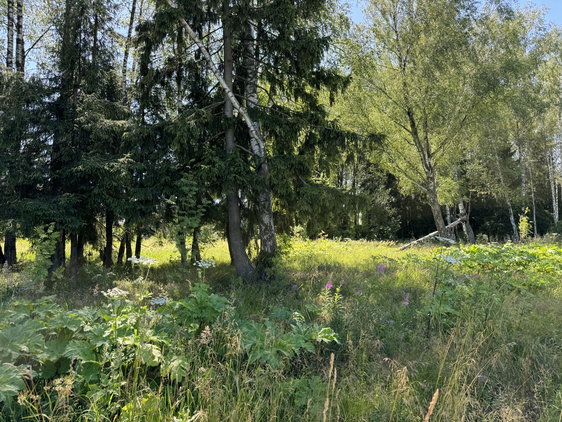 Земли поселения Московская область, Дмитровский городской округ, рабочий посёлок Некрасовский, улица Ленина