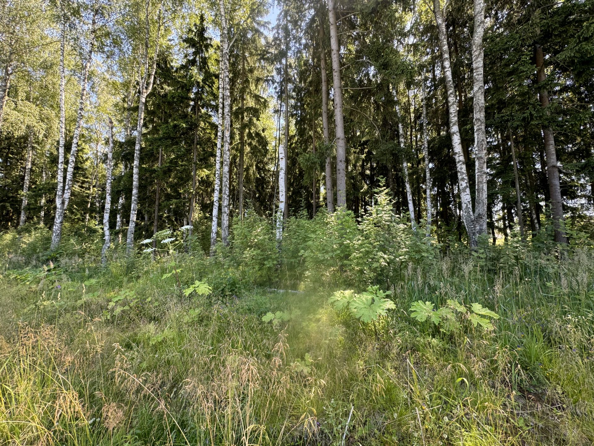 Земли поселения Московская область, Дмитровский городской округ, рабочий посёлок Некрасовский, улица Ленина