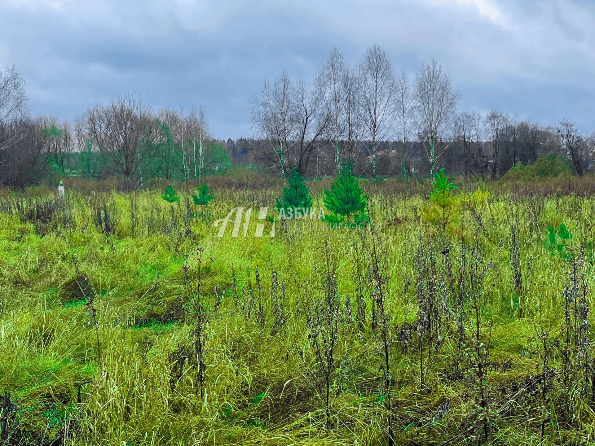 Земли поселения Московская область, городской округ Чехов, деревня Люторецкое