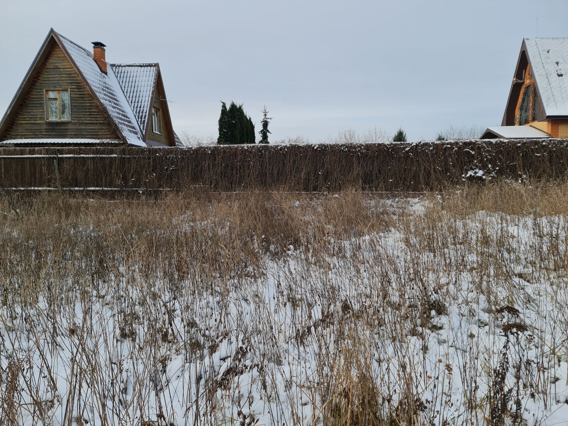 Сергиево посадский городской округ деревня березняки. Деревня Березняки Омская область.