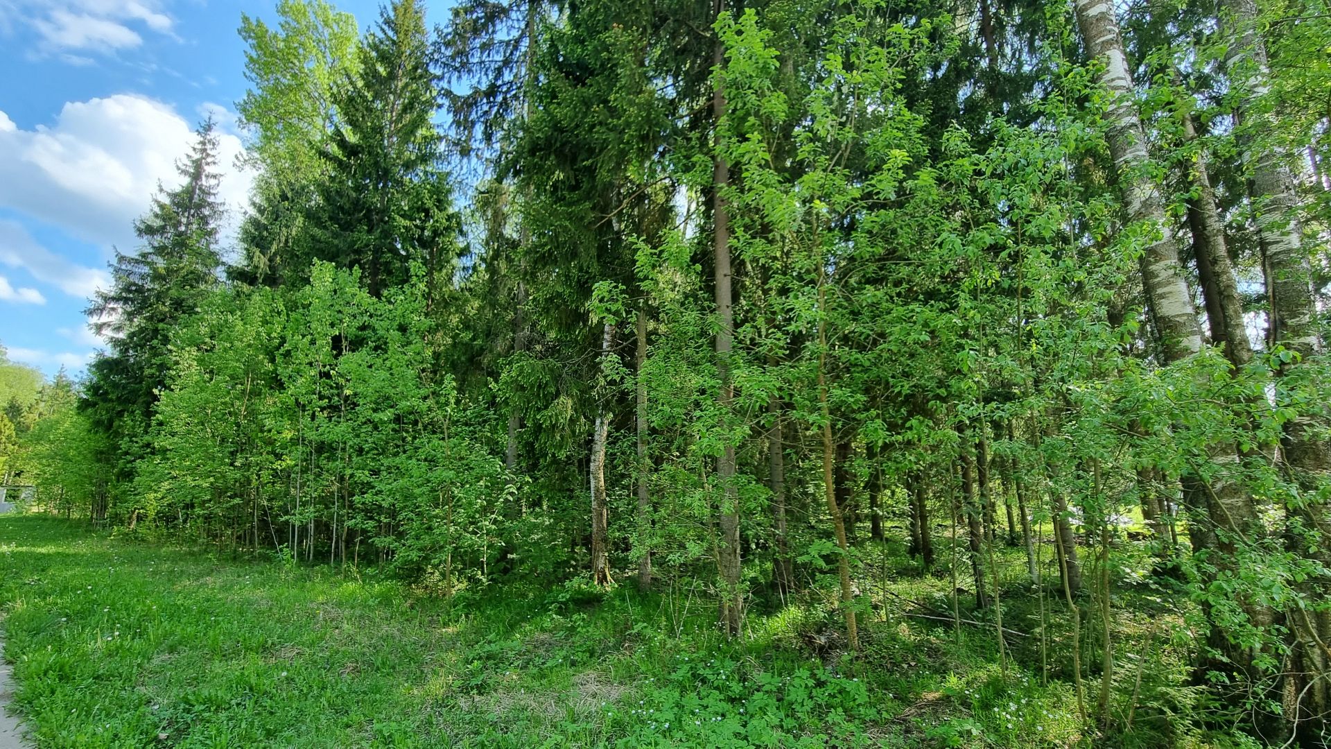 Земли поселения Московская область, городской округ Пушкинский, деревня Могильцы, коттеджный поселок Пушкинский лес