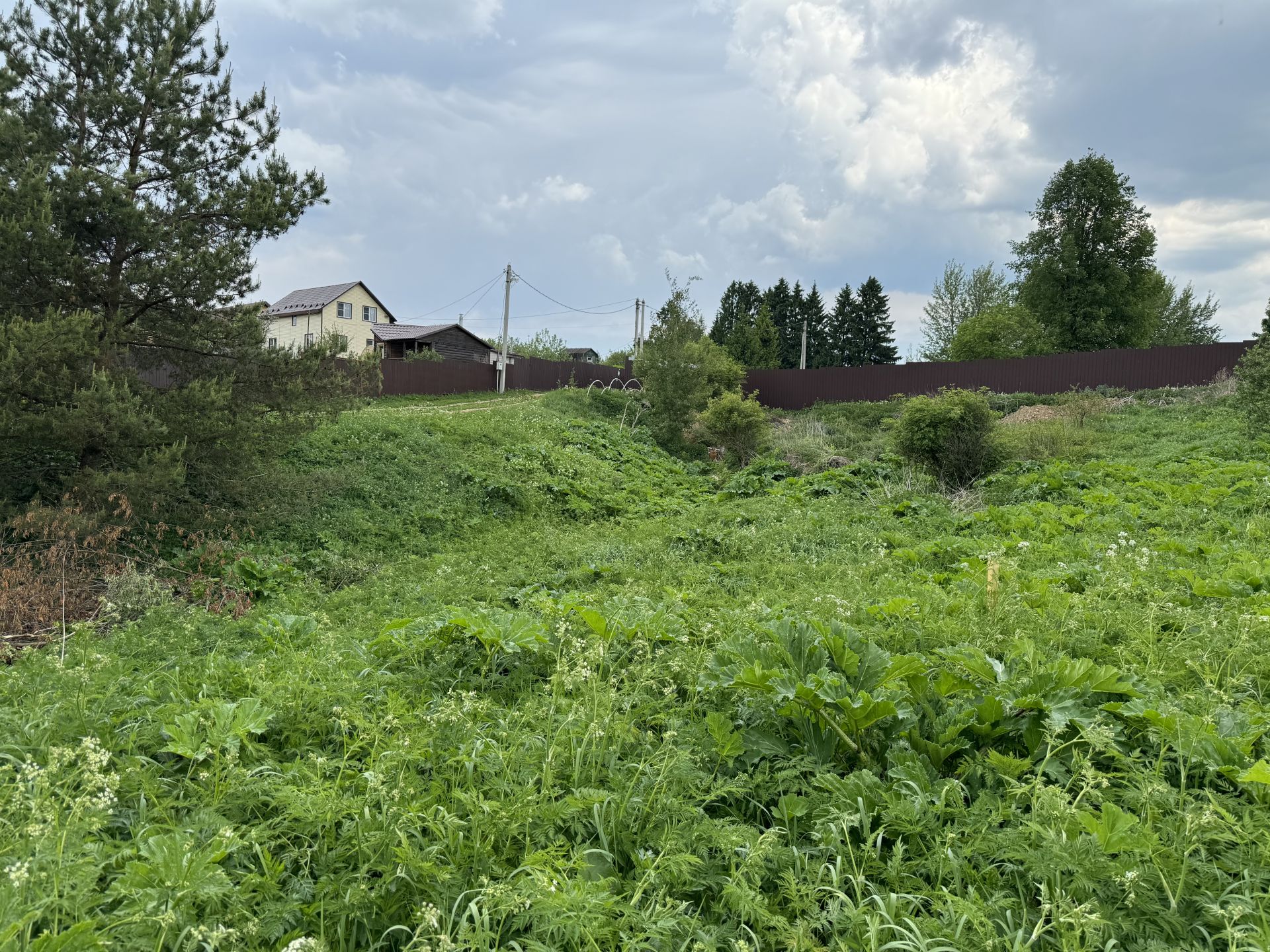 Земли поселения Московская область, Дмитровский городской округ, деревня Дубровки
