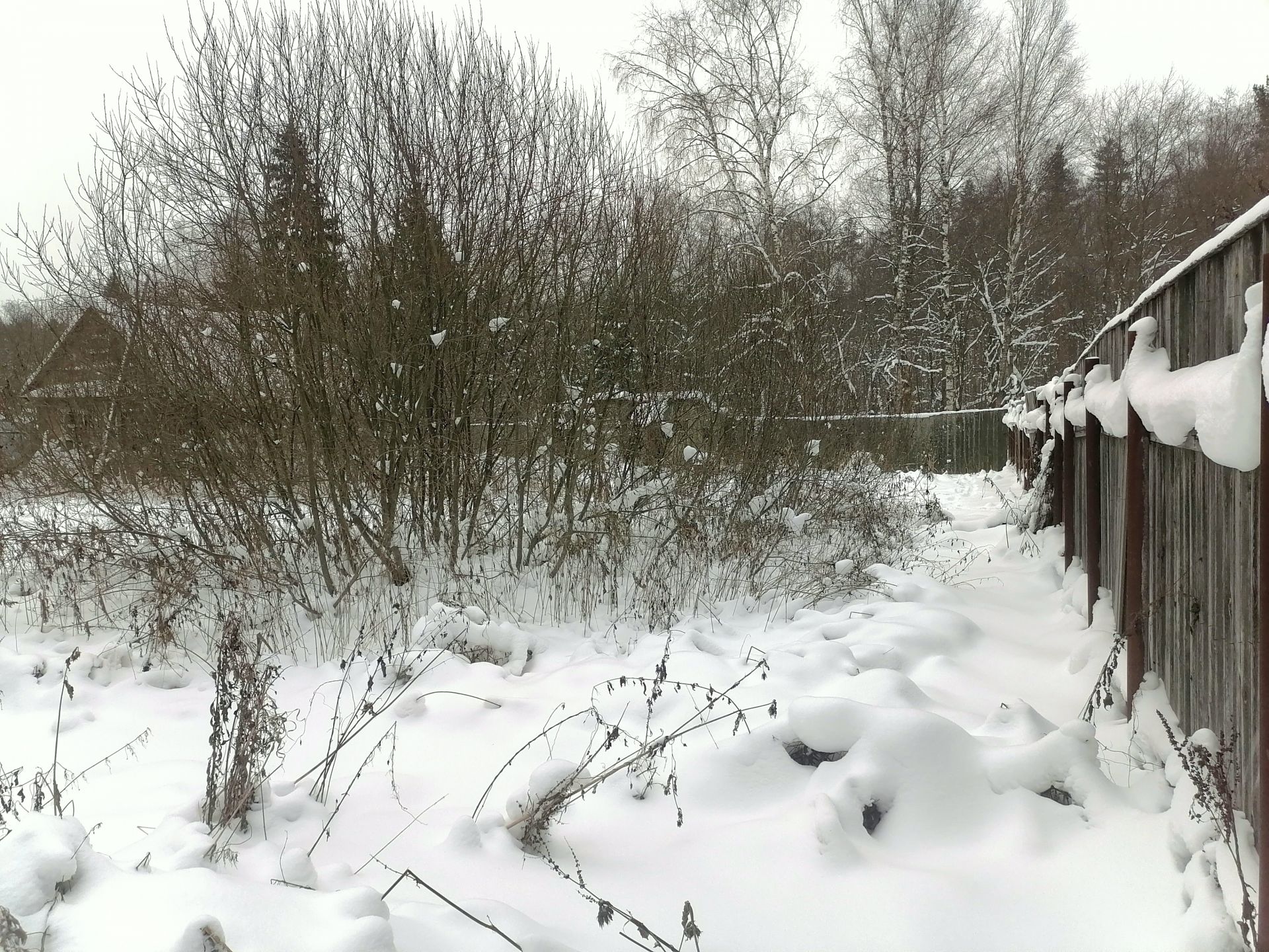 Земли сельхозназначения Московская область, городской округ ...