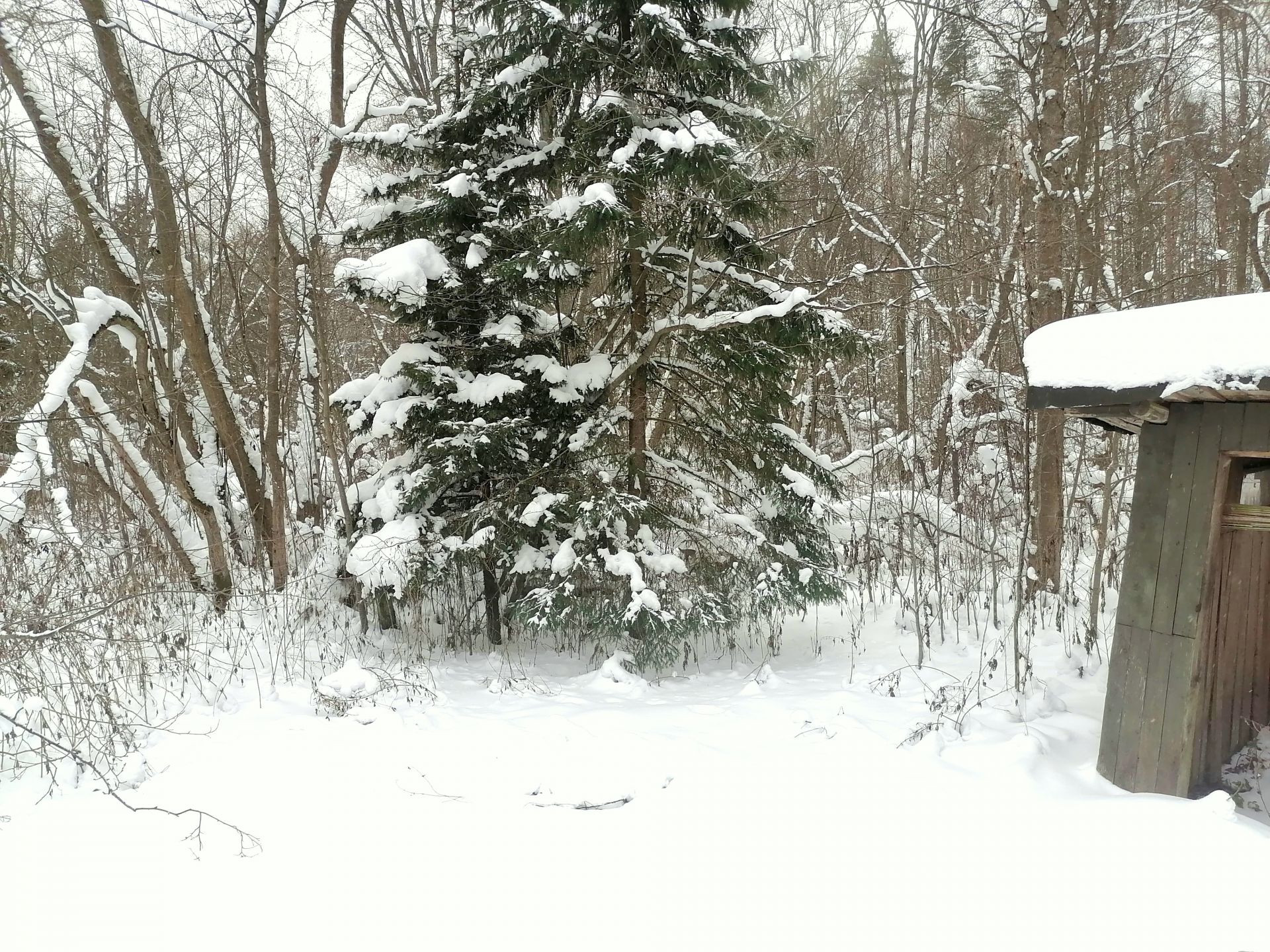 Земли сельхозназначения Московская область, городской округ ...
