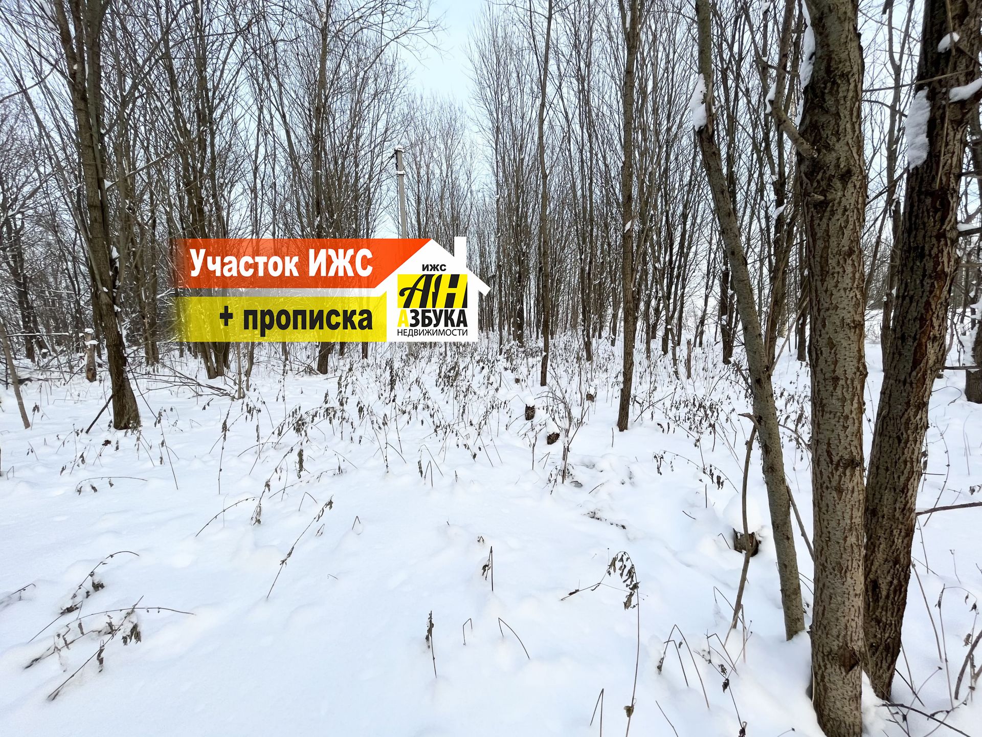 Земли поселения Московская область, Дмитровский городской округ, деревня Шабаново