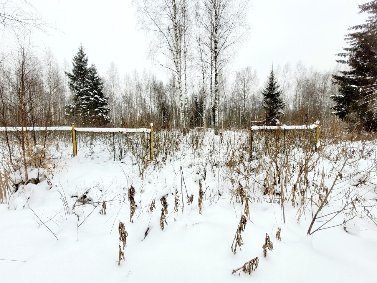 Земли сельхозназначения Московская область, городской округ Клин, садовое  товарищество Бобры – агентство недвижимости «Азбука недвижимости» Москва и  МО