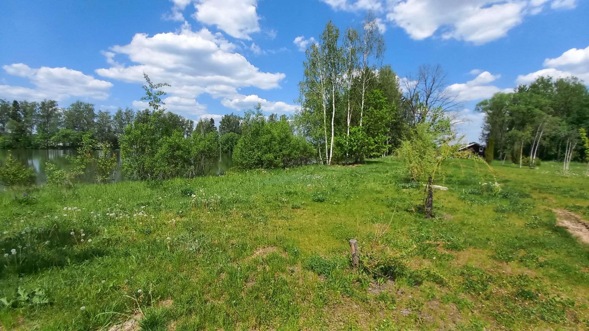 Земли поселения Московская область, городской округ Истра, деревня Дедово-Талызино, микрорайон Солнечный