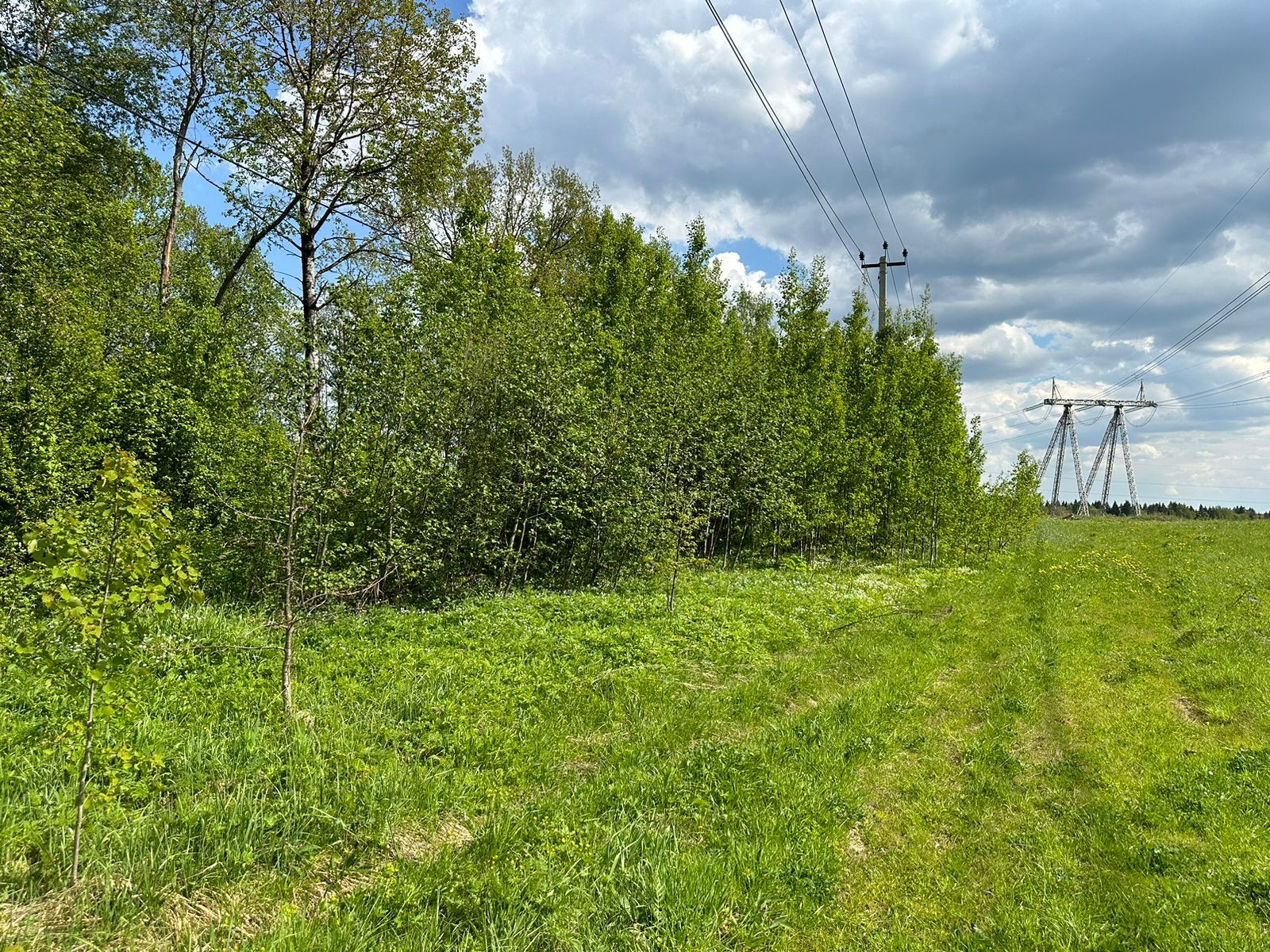 Земли сельхозназначения Московская область, Дмитровский городской округ, деревня Удино