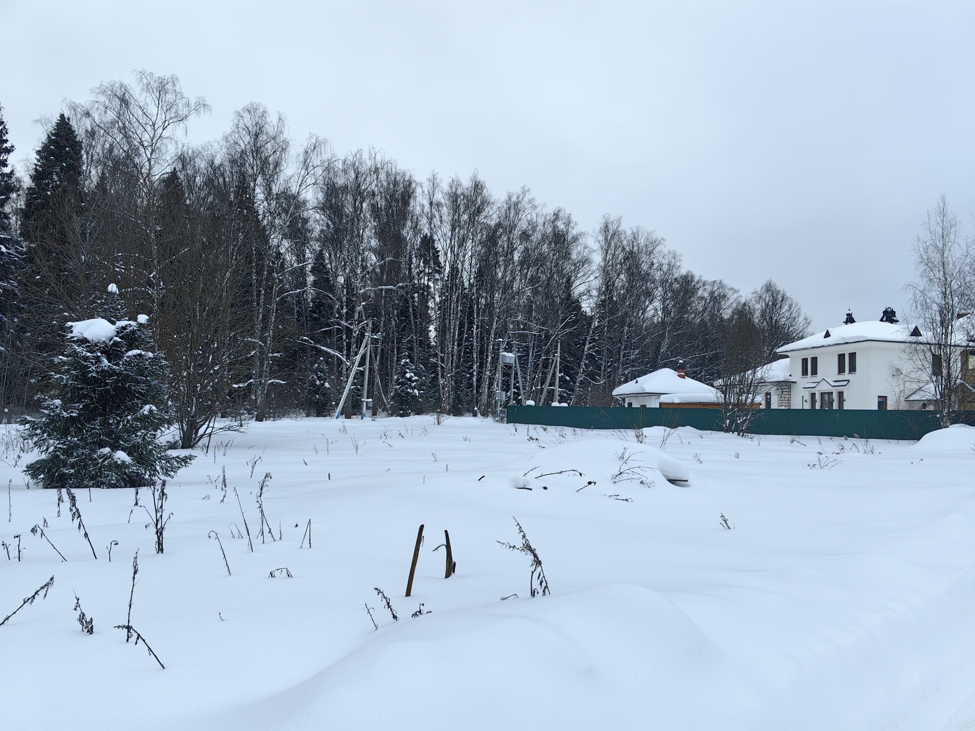 Земли поселения Московская область, городской округ Пушкинский, деревня Дарьино